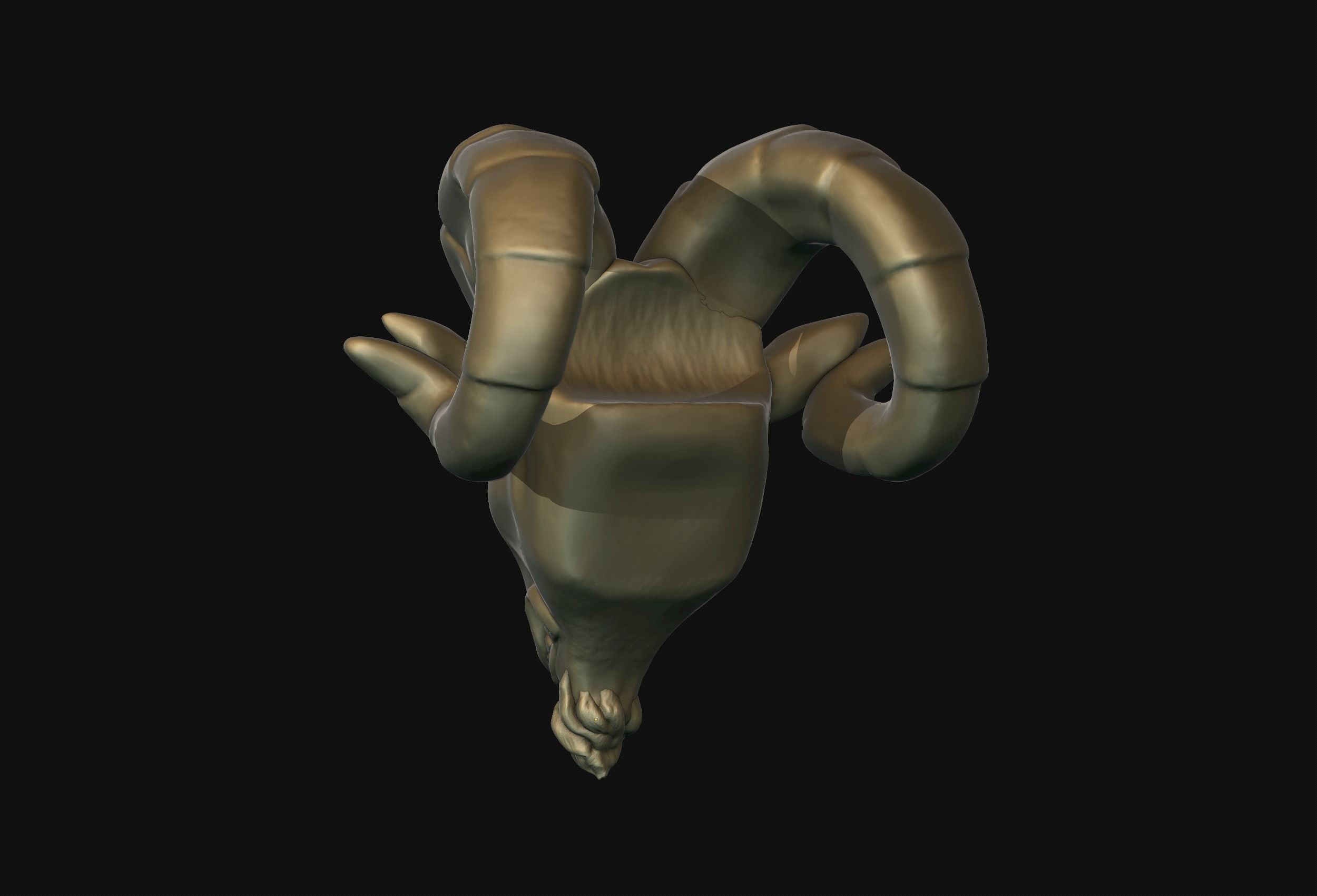 Ram Head Bead 3D print model_5