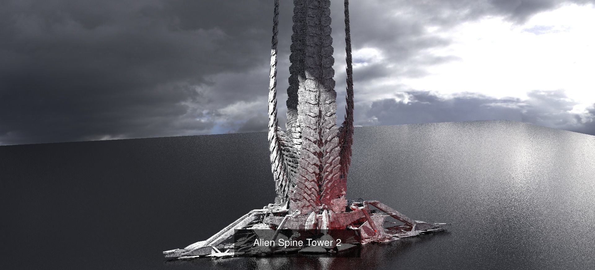 Skeleton Architecture Collection  _10