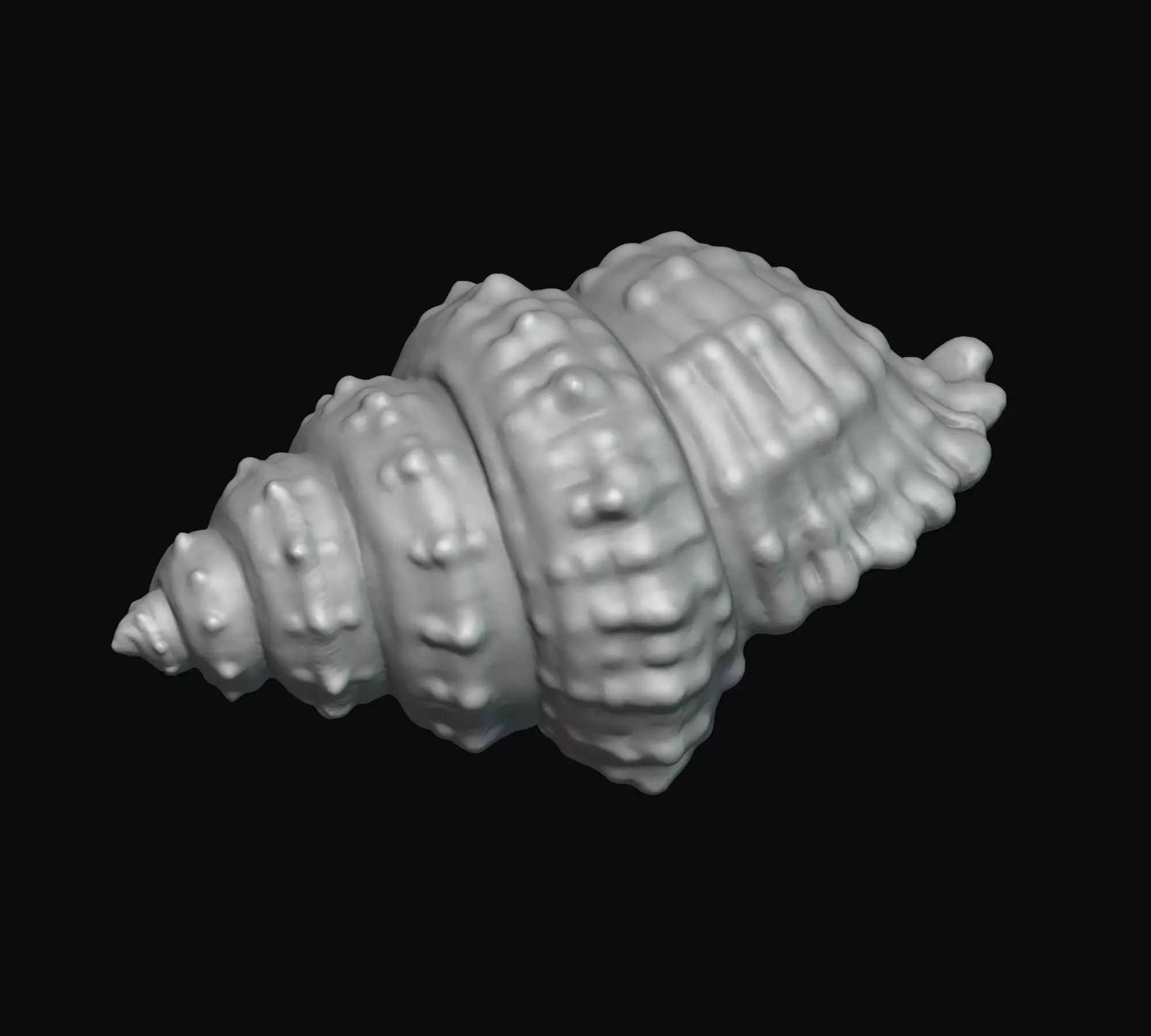 Seashell shell 3D print model_0