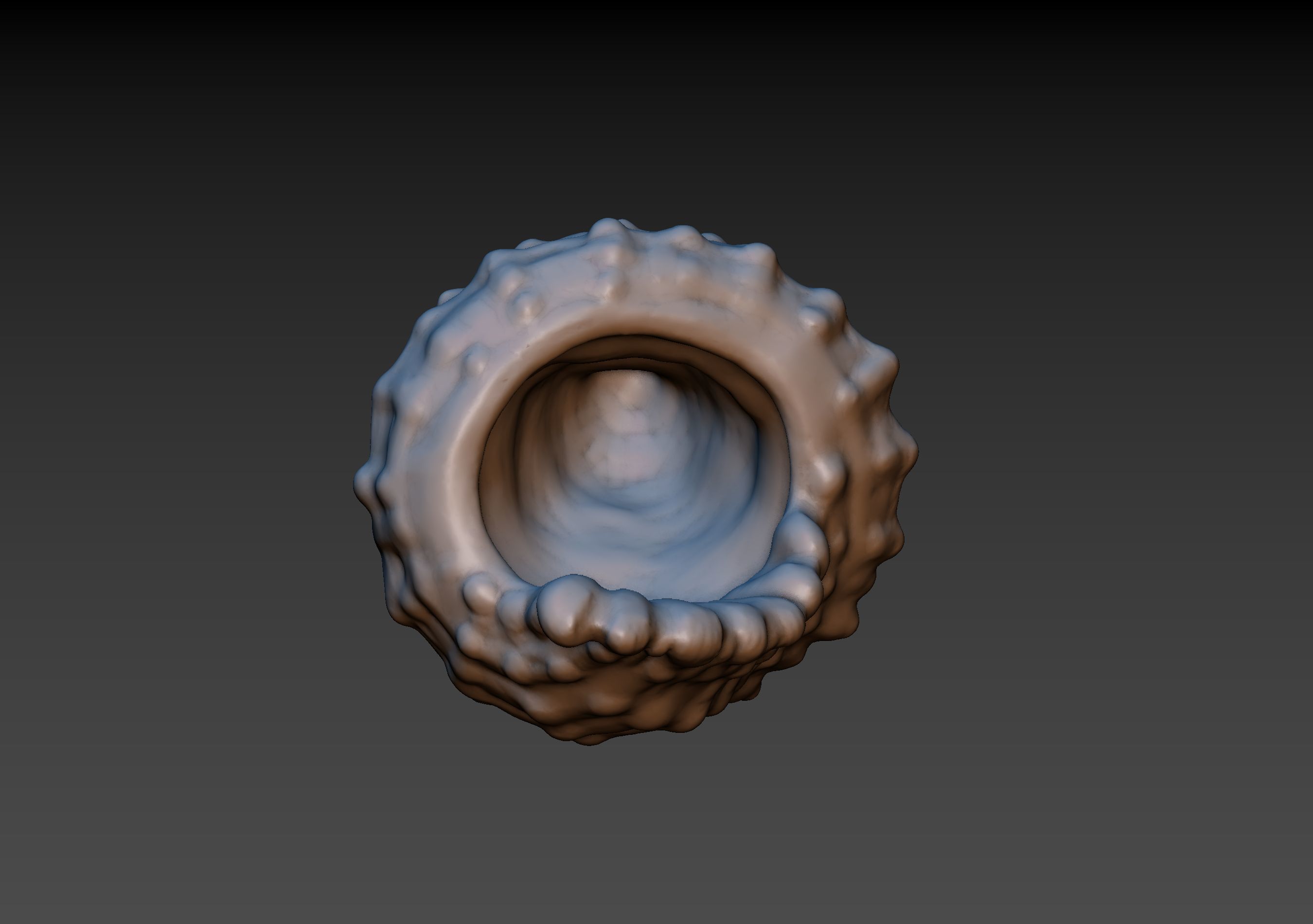 Seashell shell 3D print model_6