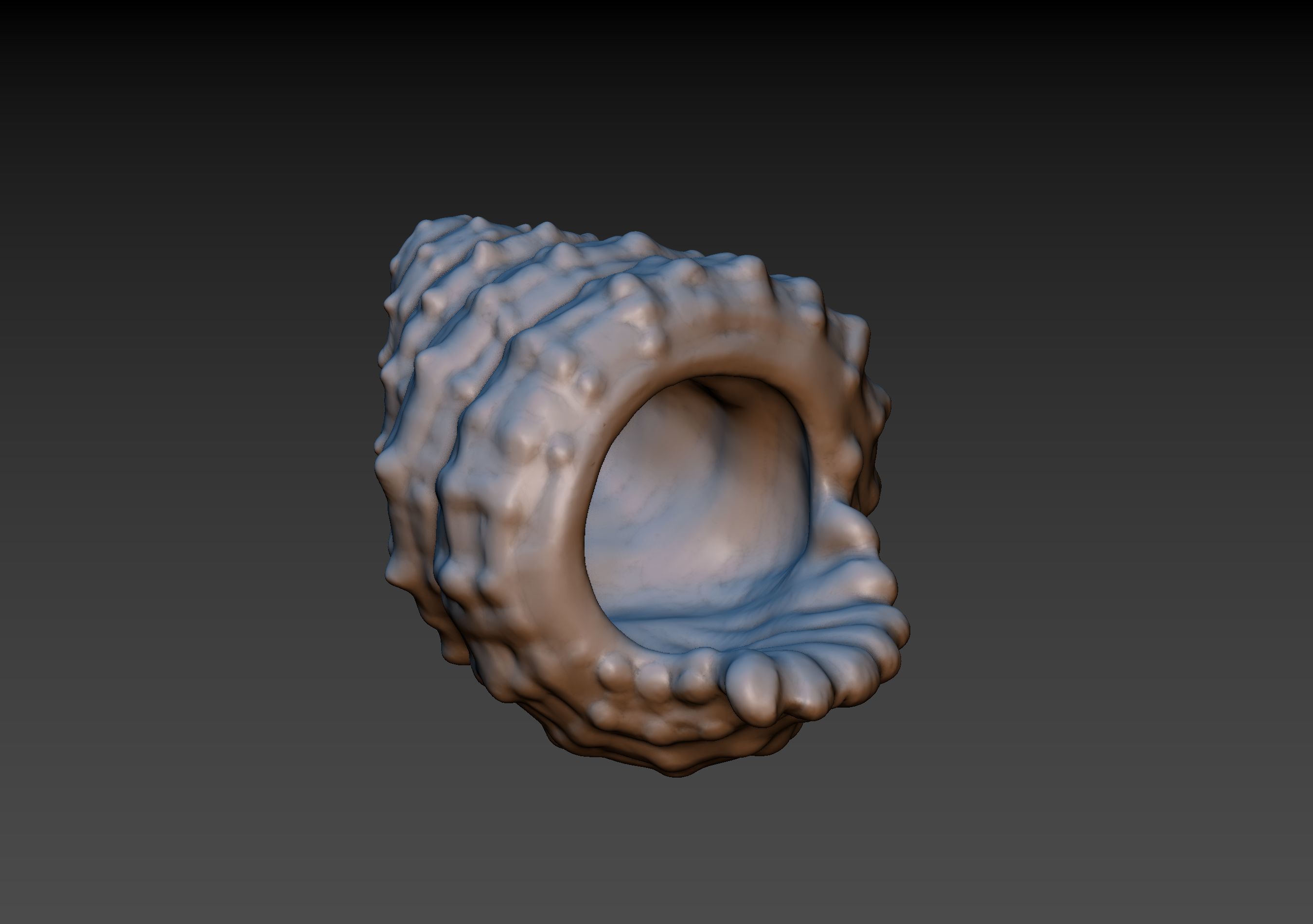 Seashell shell 3D print model_9
