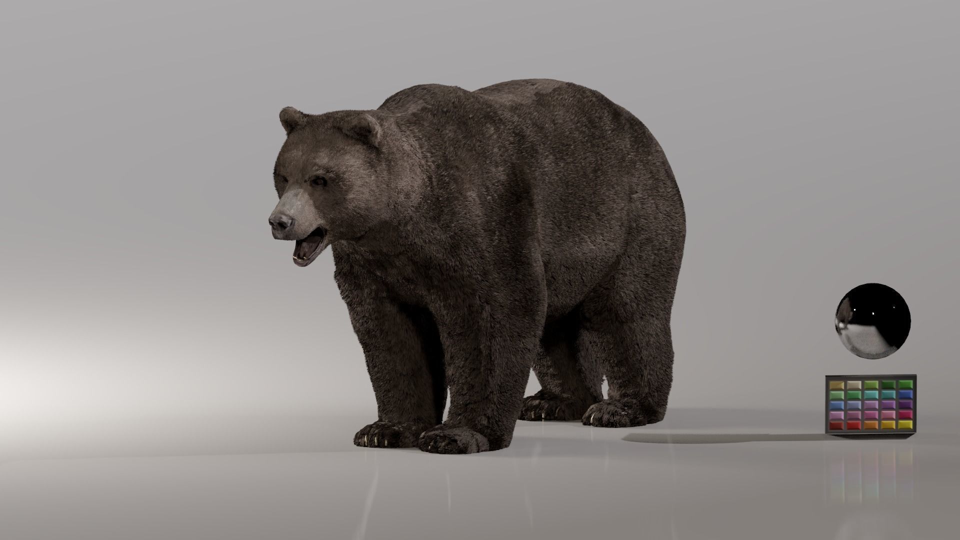 Bear - Rigged Blender 3d model 3D model_3