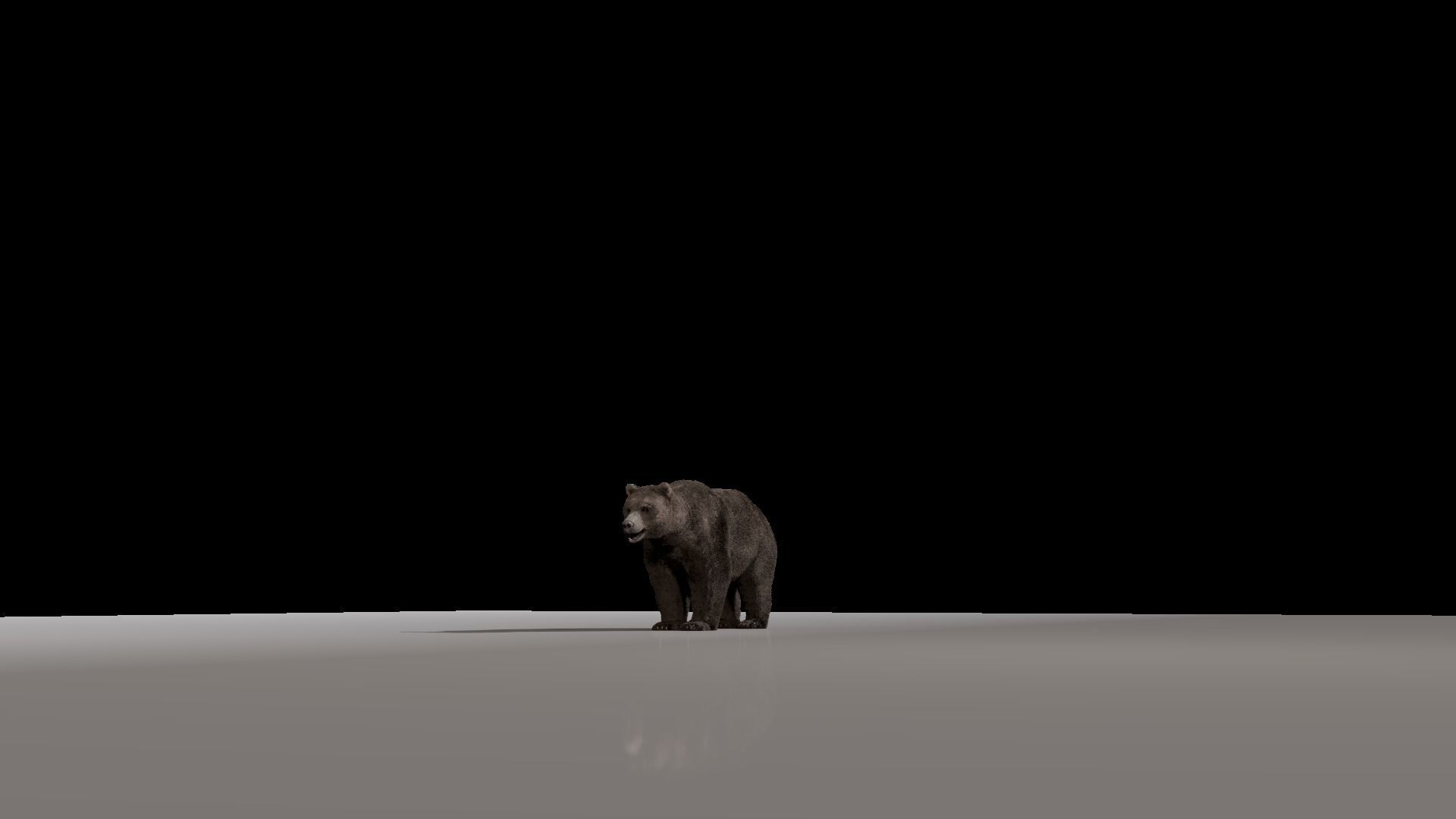 Bear - Rigged Blender 3d model 3D model_8