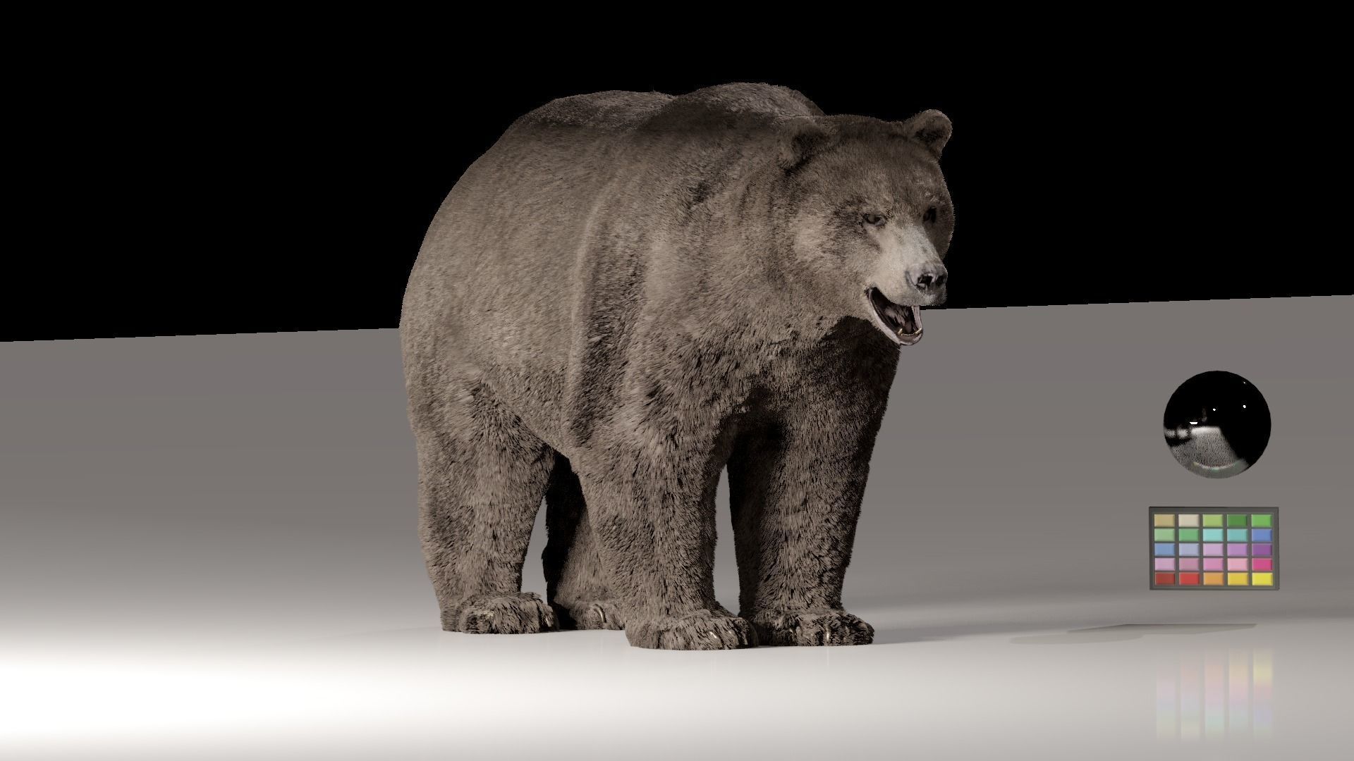 Bear - Rigged Blender 3d model 3D model_9