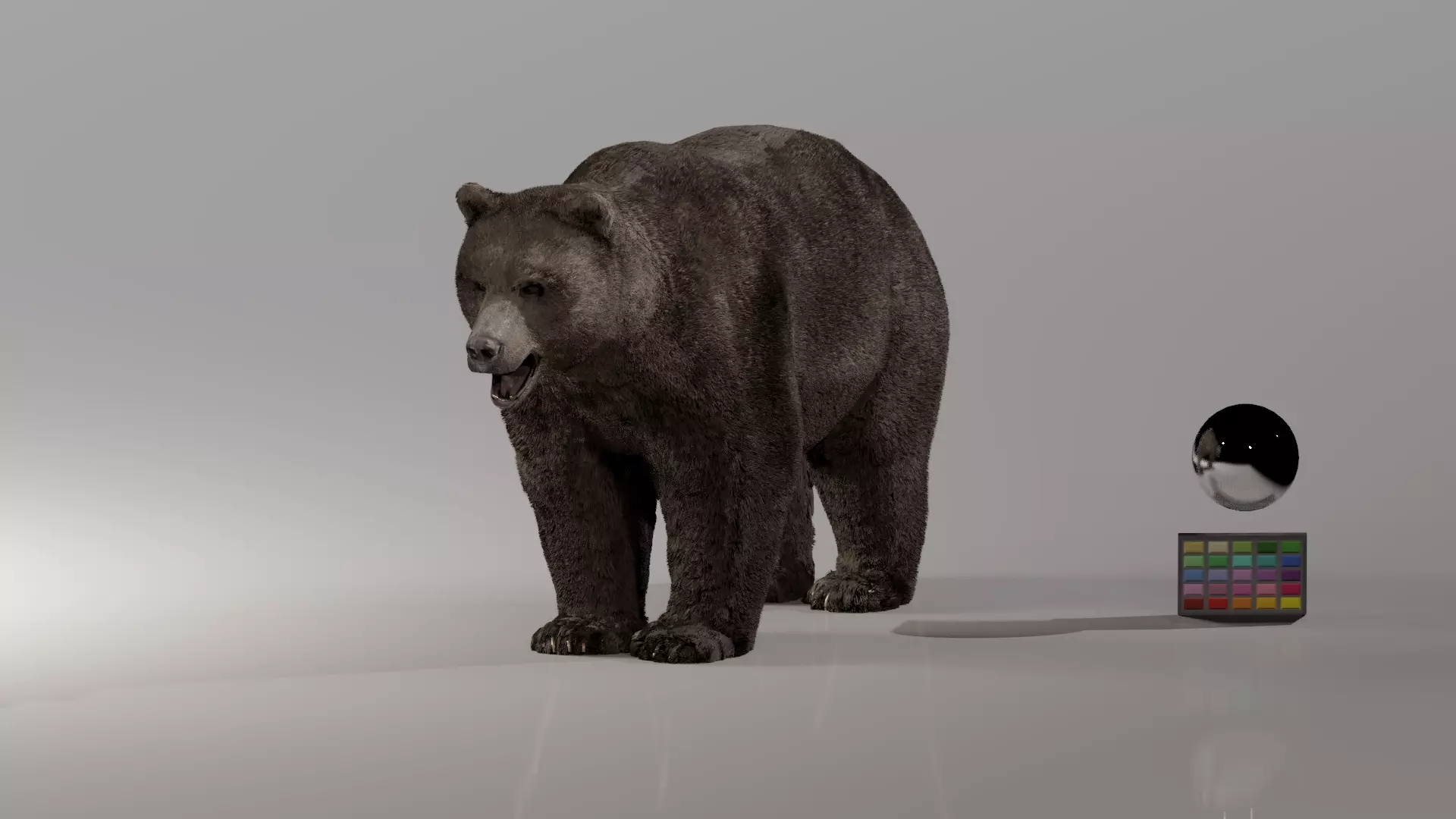 Bear - Rigged Blender 3d model 3D model_0