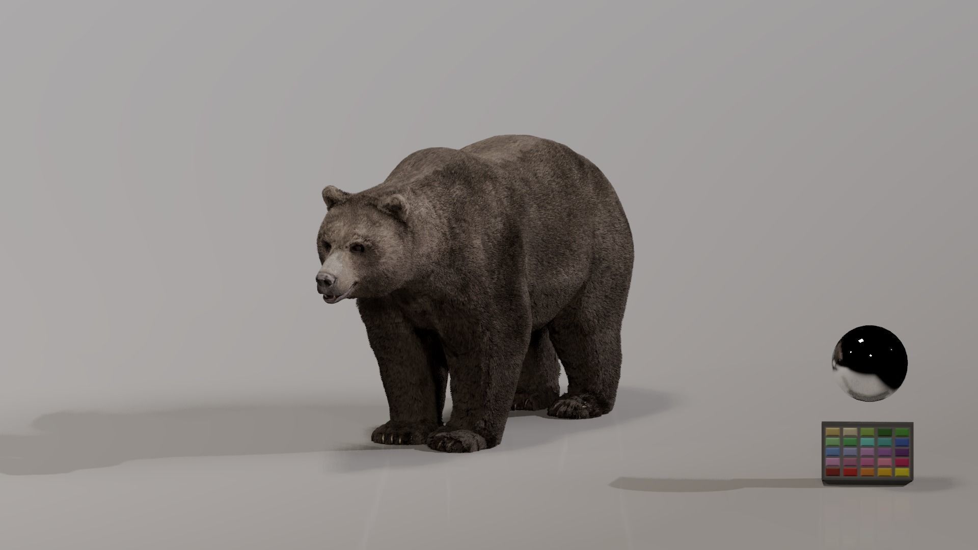 Bear - Rigged Blender 3d model 3D model_2