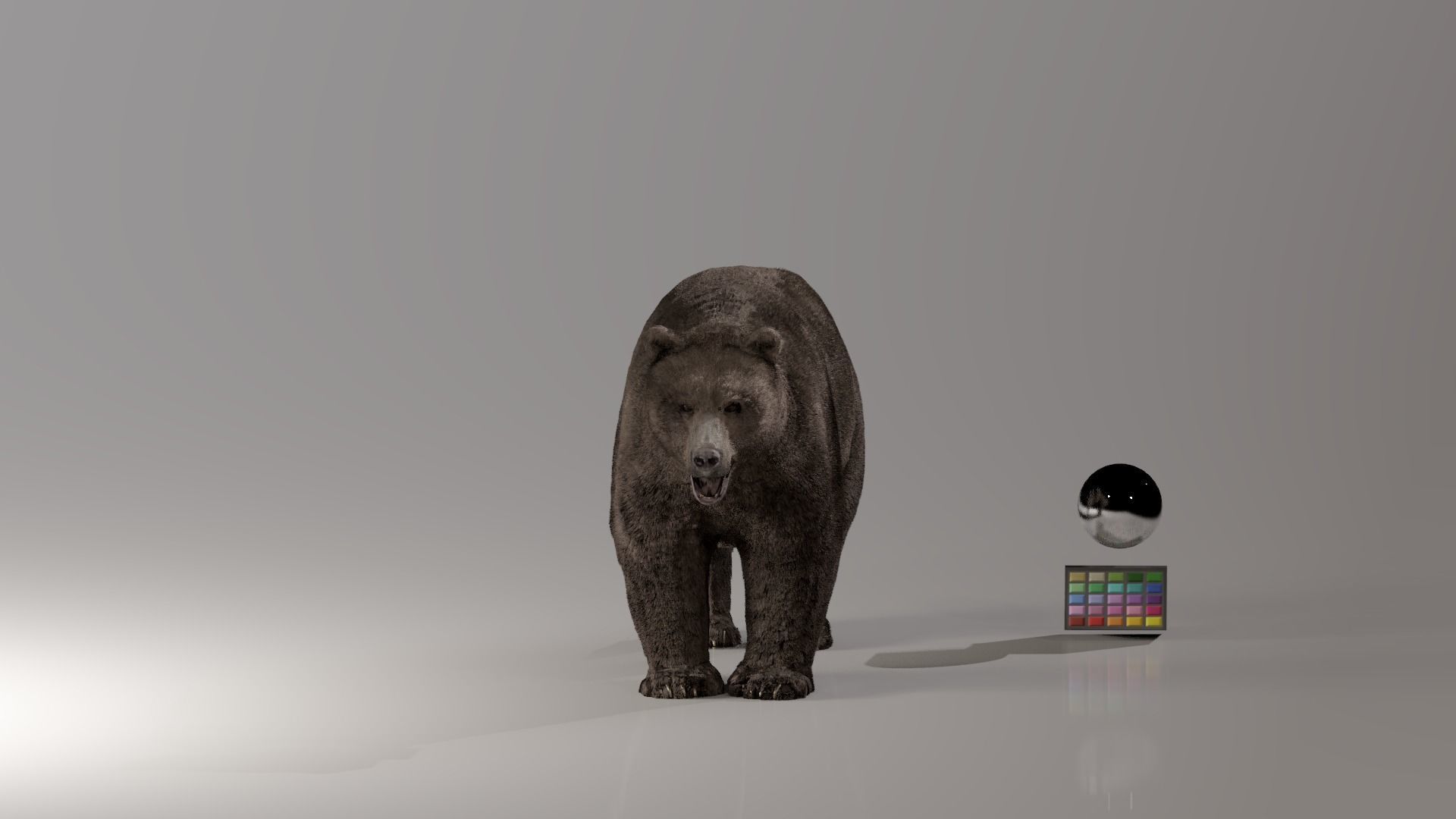 Bear - Rigged Blender 3d model 3D model_4