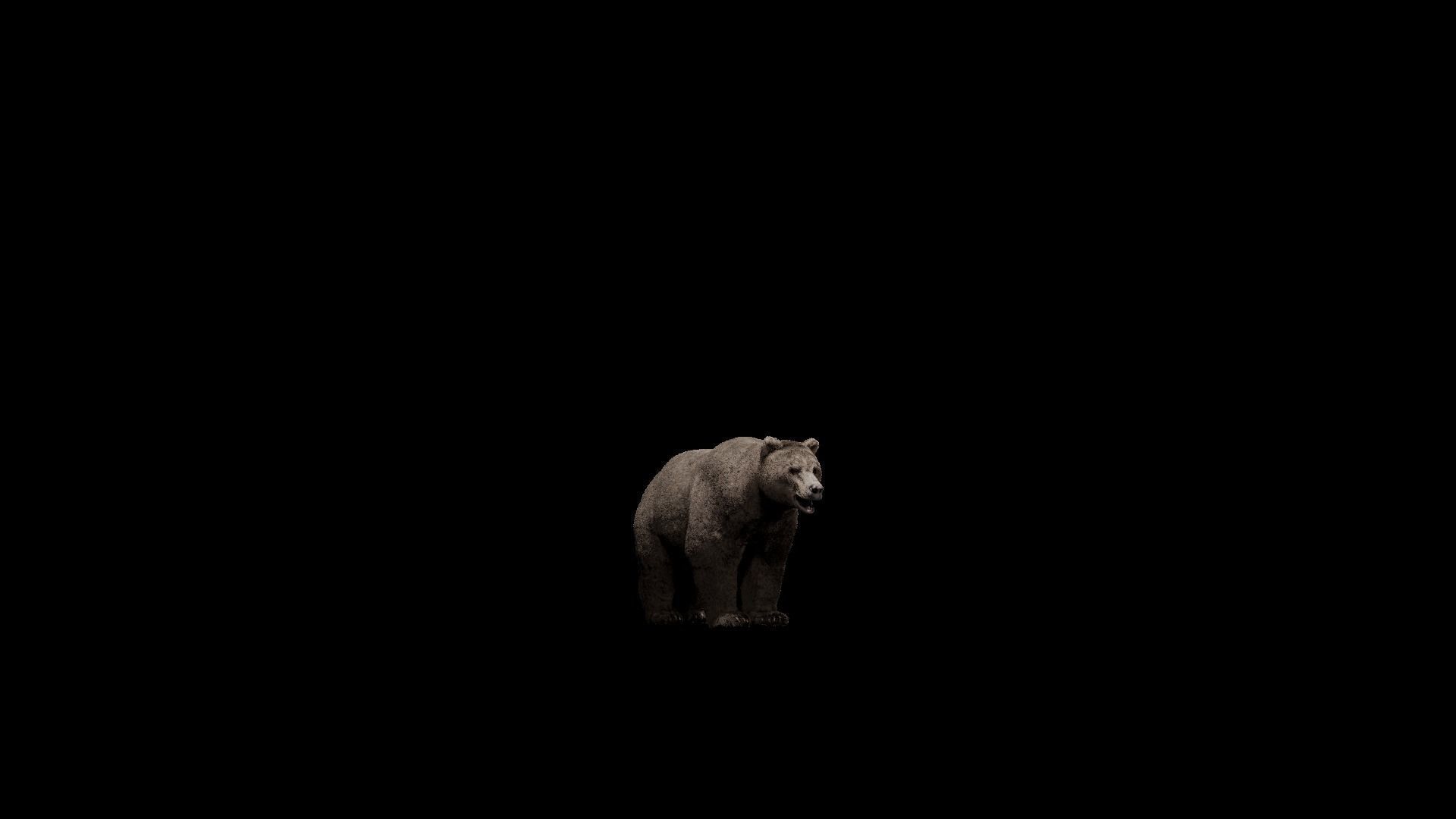 Bear - Rigged Blender 3d model 3D model_20