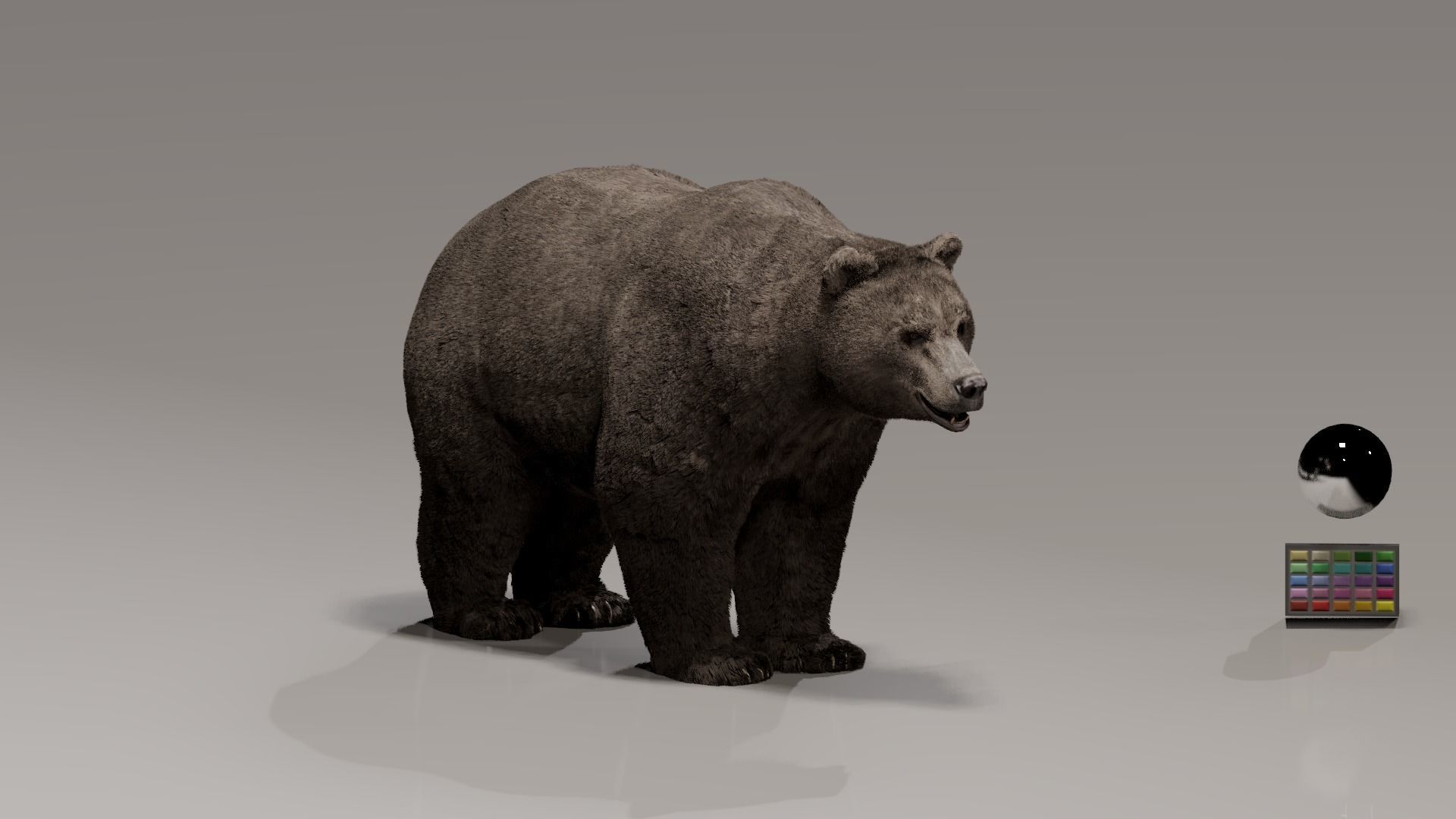 Bear - Rigged Blender 3d model 3D model_6