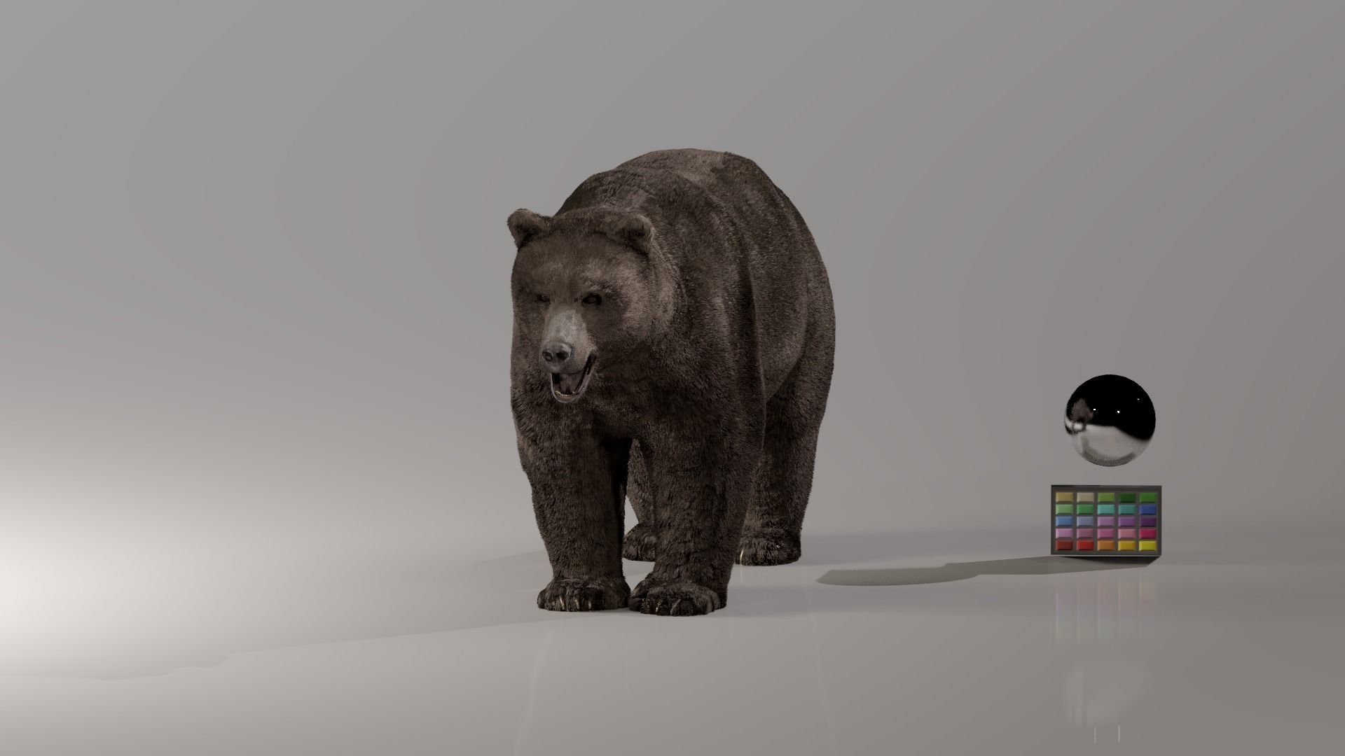 Bear - Rigged Blender 3d model 3D model_5