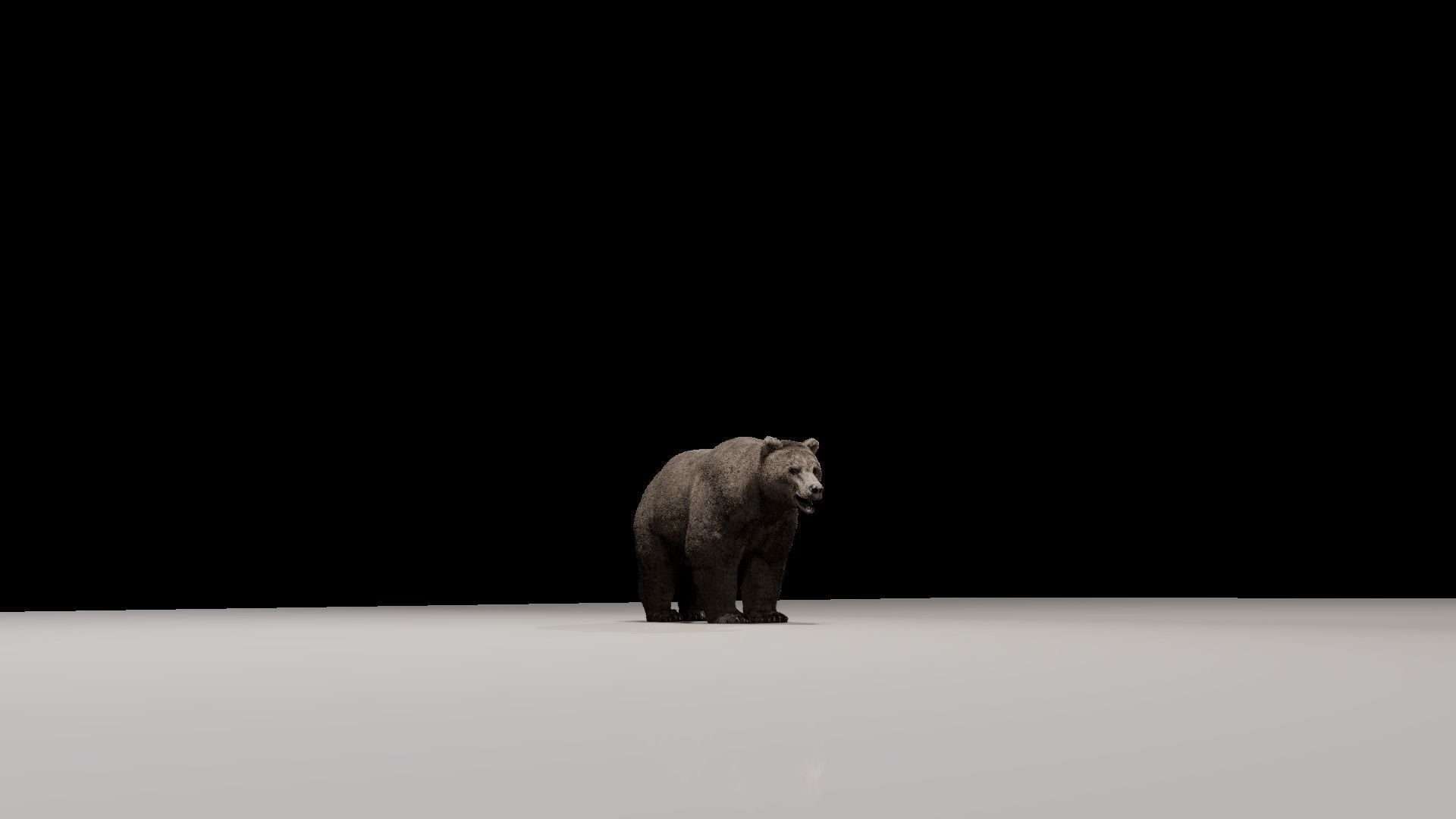 Bear - Rigged Blender 3d model 3D model_12