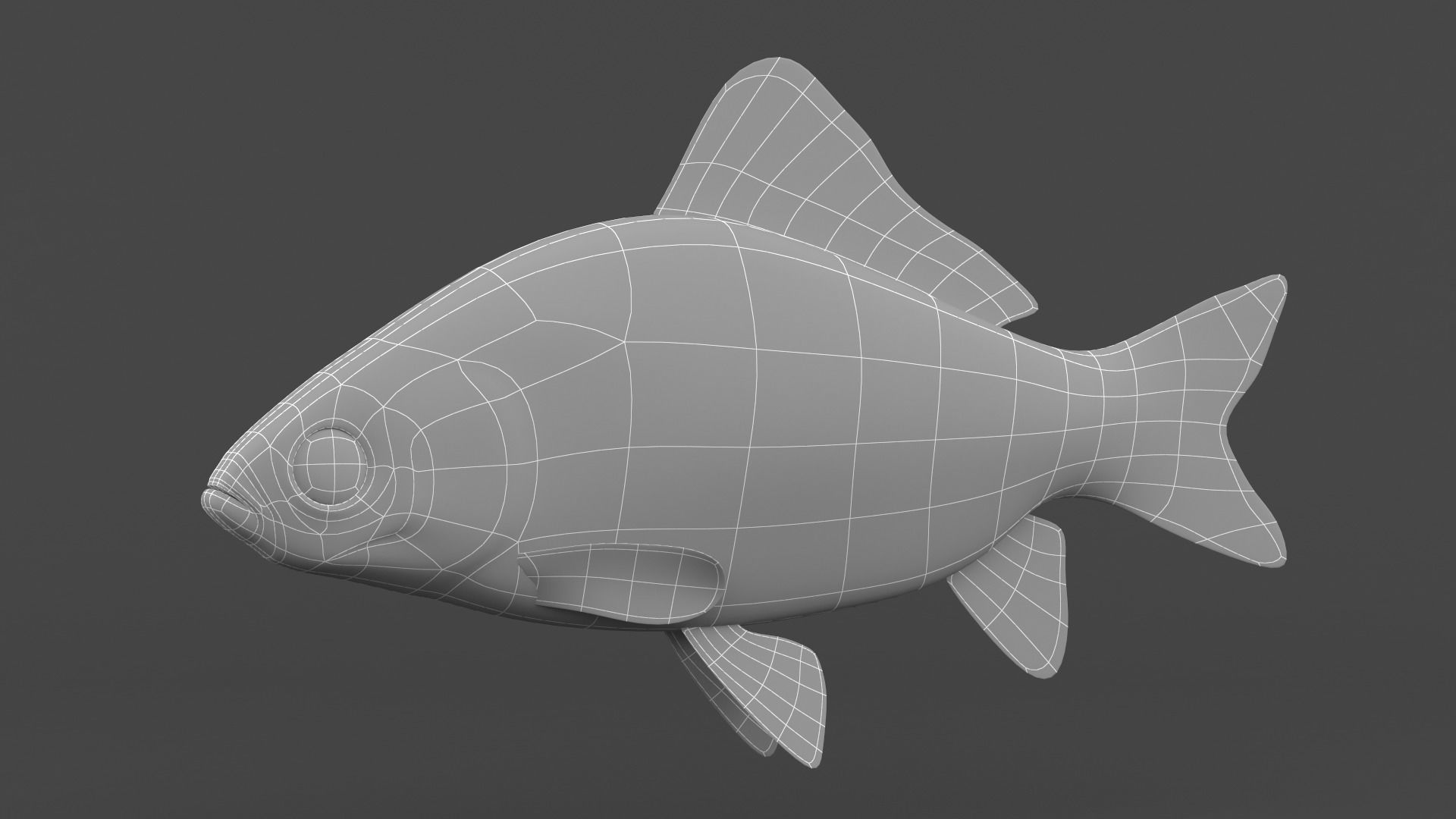 Carp Fish 3D model_7