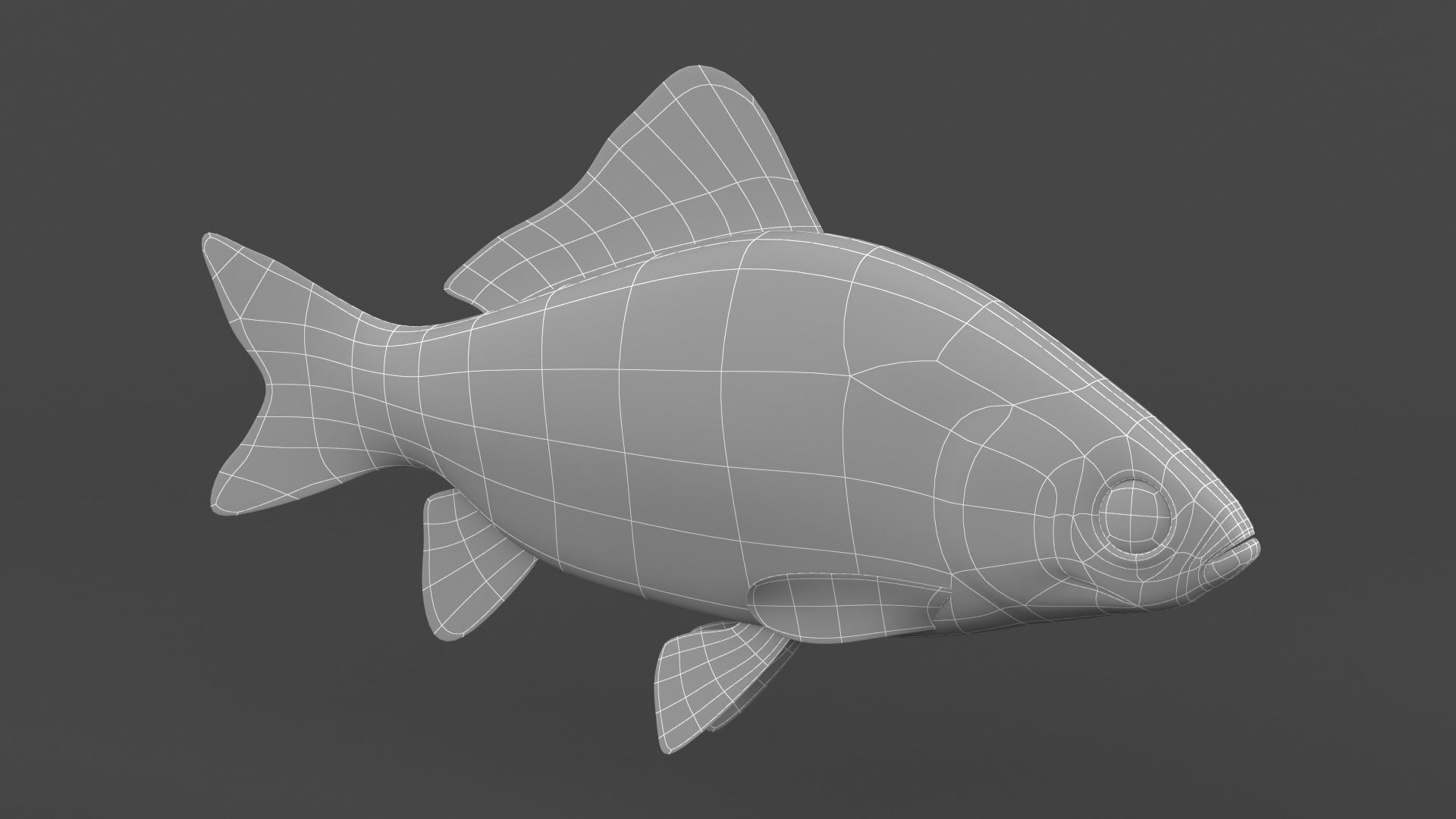 Carp Fish 3D model_6