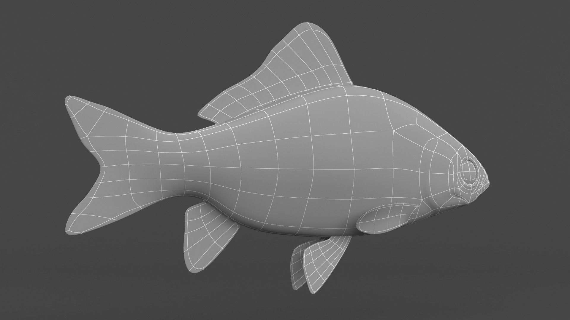 Carp Fish 3D model_9