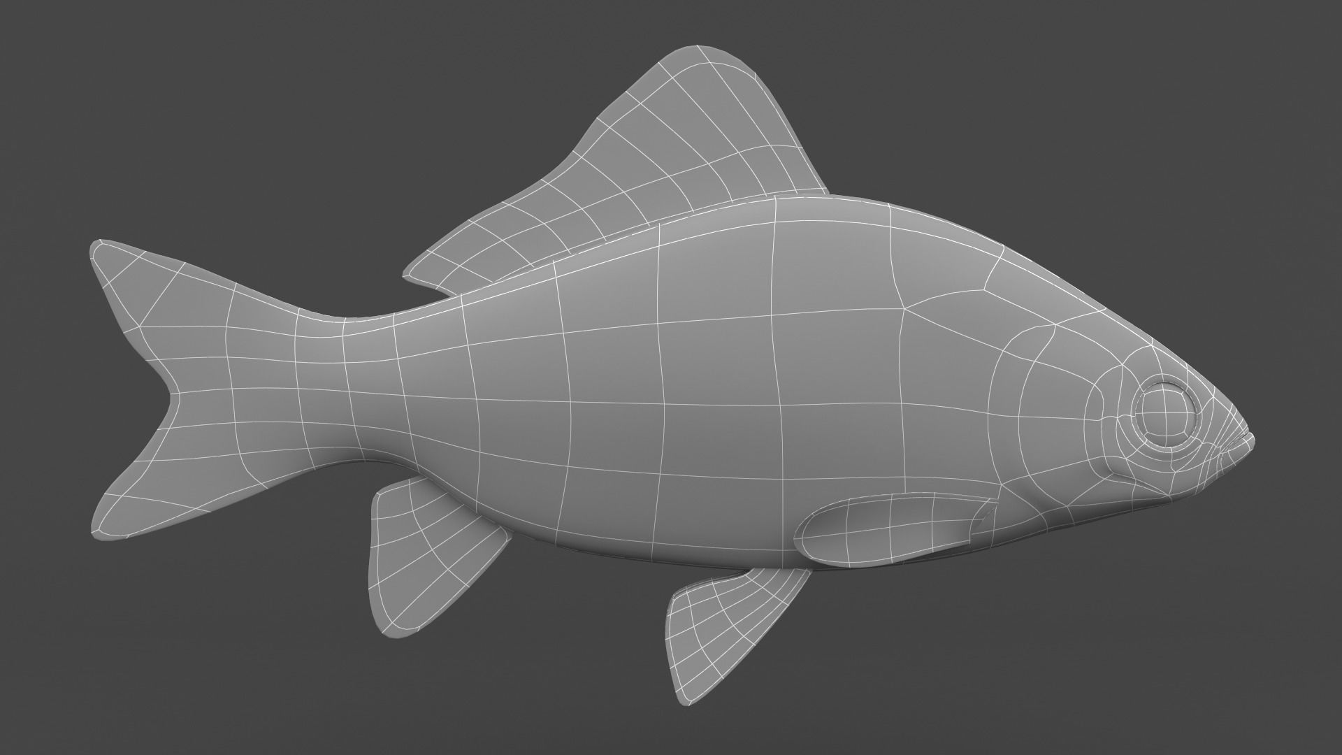 Carp Fish 3D model_5