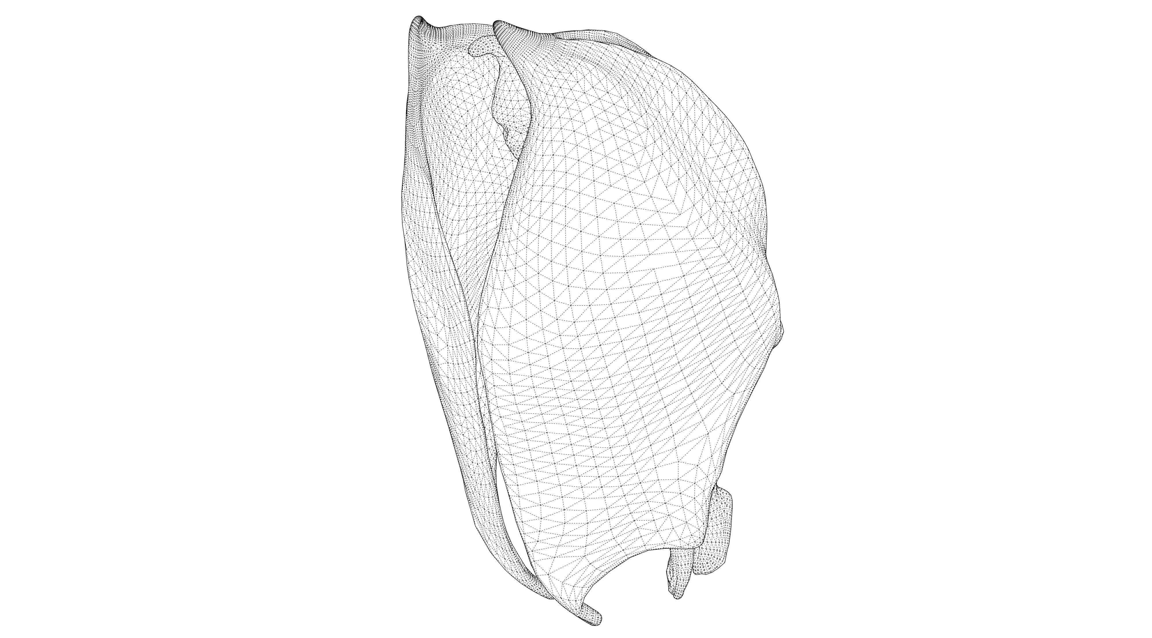 Gagoil 05 3D model_14