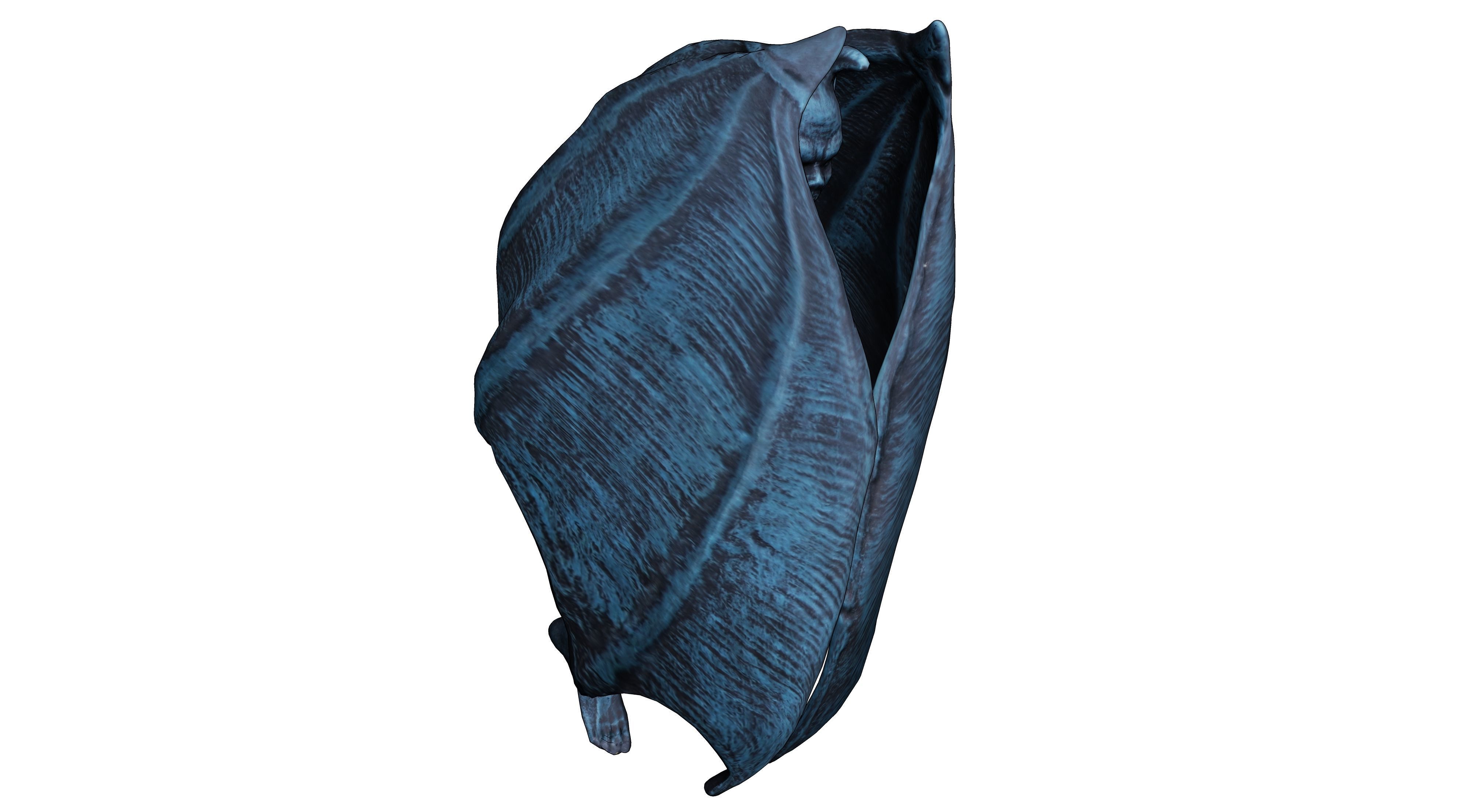 Gagoil 05 3D model_5