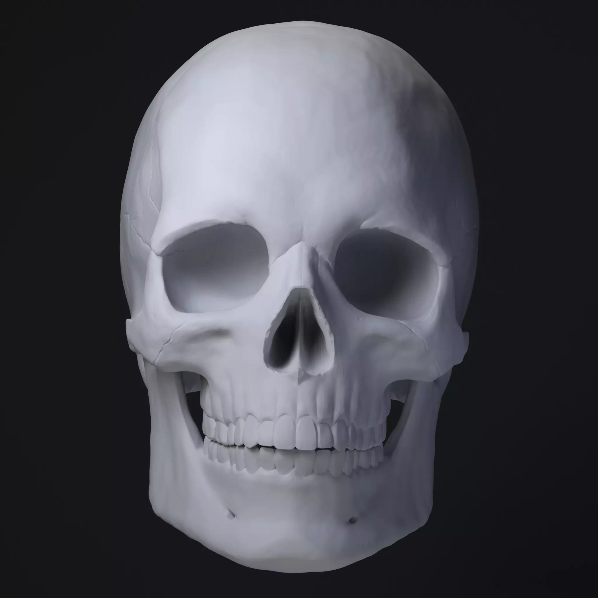 Skull STL human 3D print model
