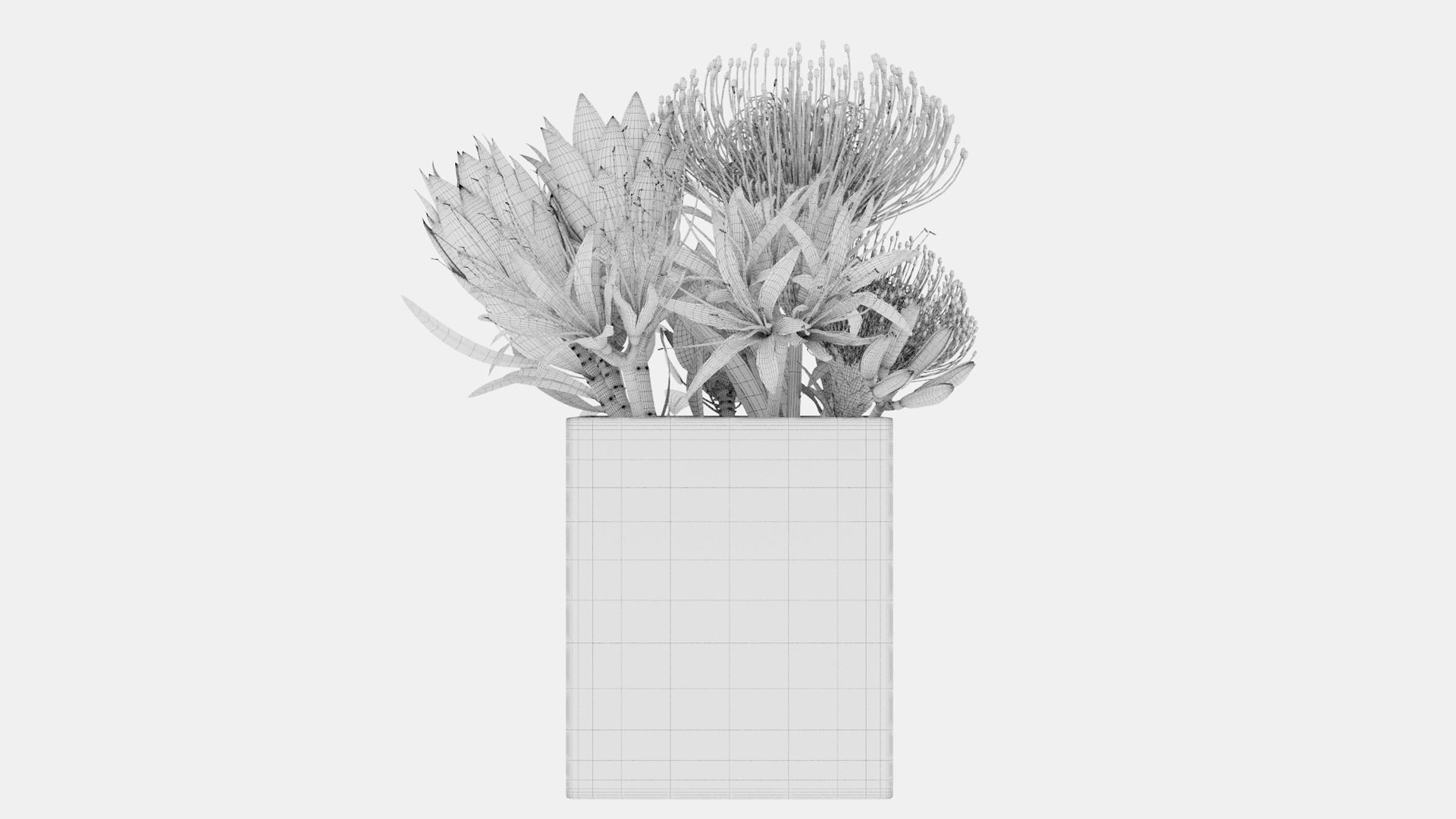 Plant 43 3D model_5