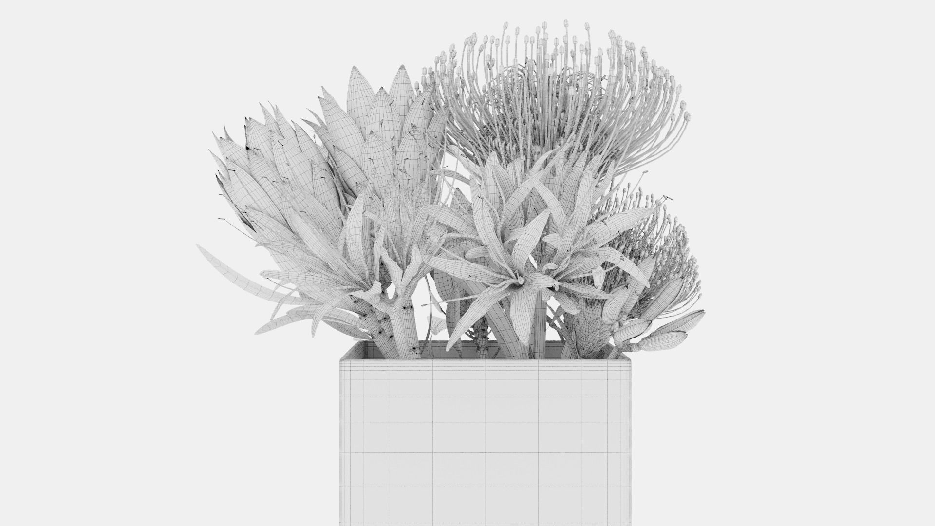 Plant 43 3D model_4