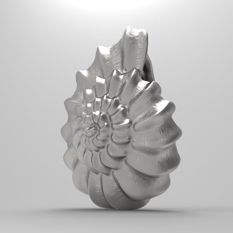 shell ear with 3D print model_2