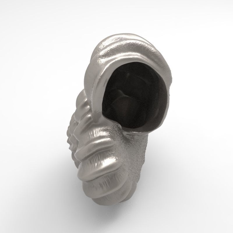 shell ear with 3D print model_6