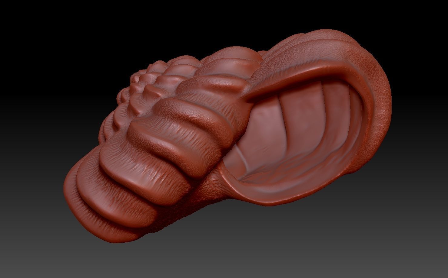 shell ear with 3D print model_1