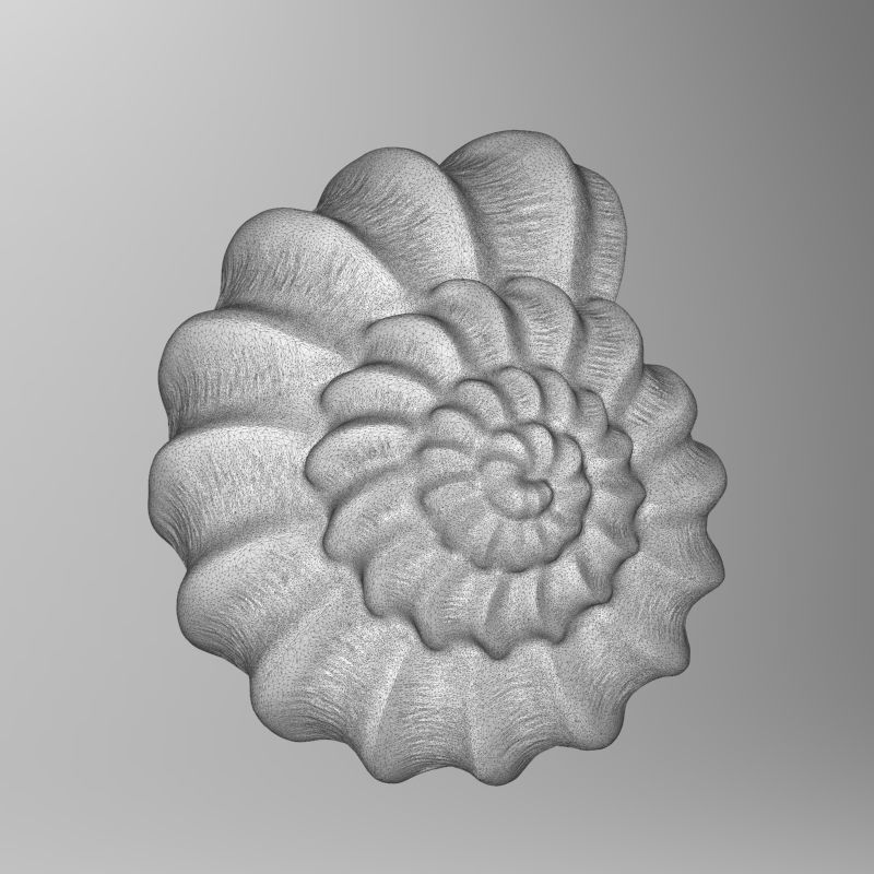 shell ear with 3D print model_3