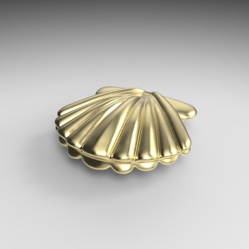 shell 3D print model_5