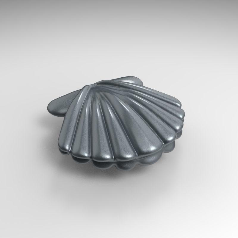 shell 3D print model_4