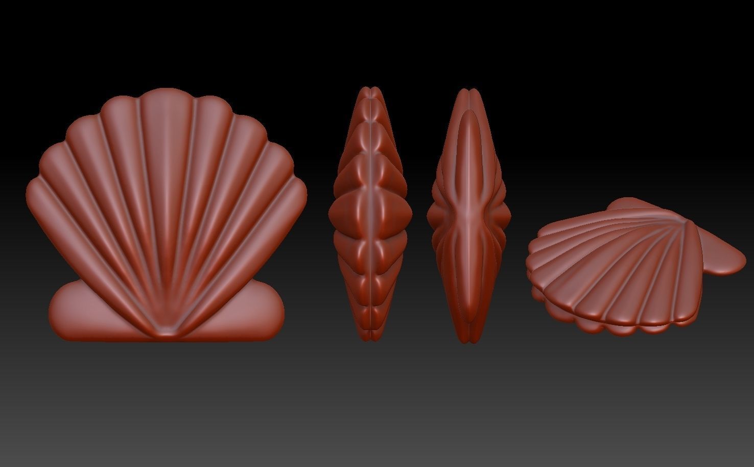 shell 3D print model_2
