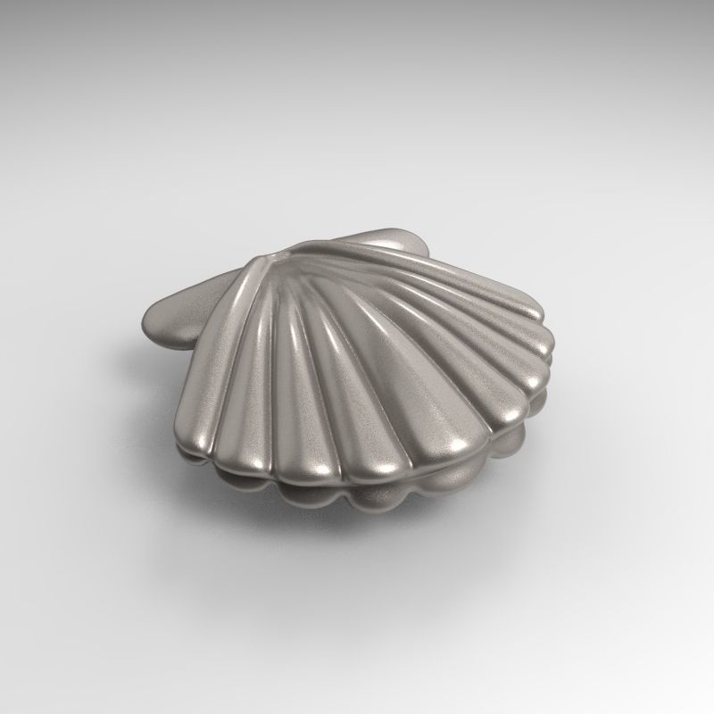 shell 3D print model_7
