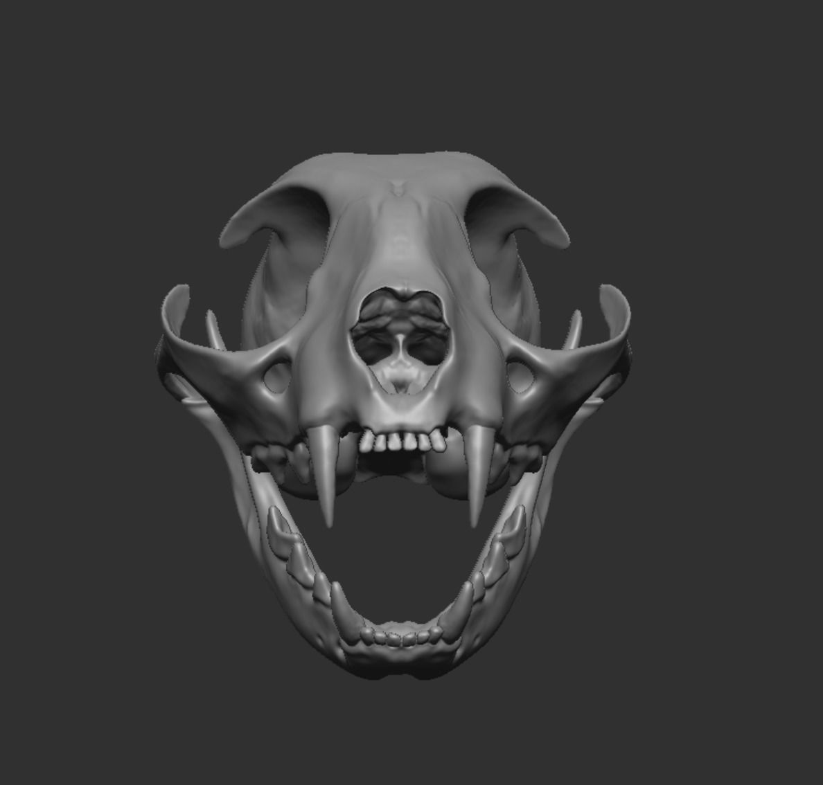 Skull Cat 3D model_39