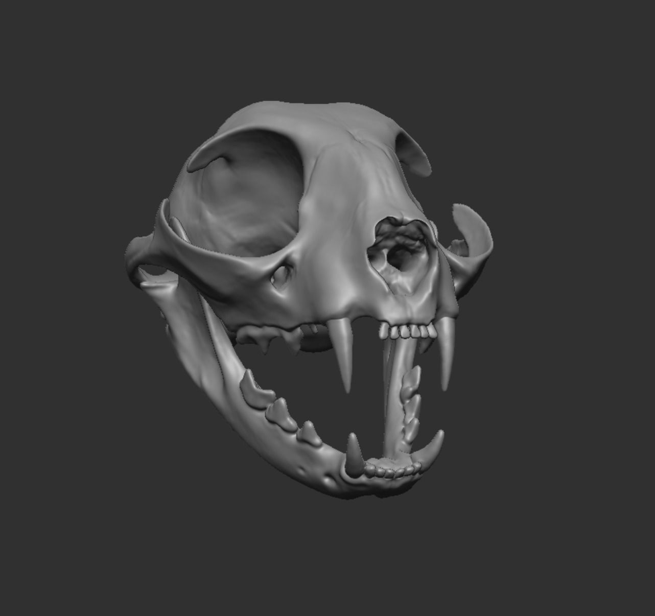 Skull Cat 3D model_7