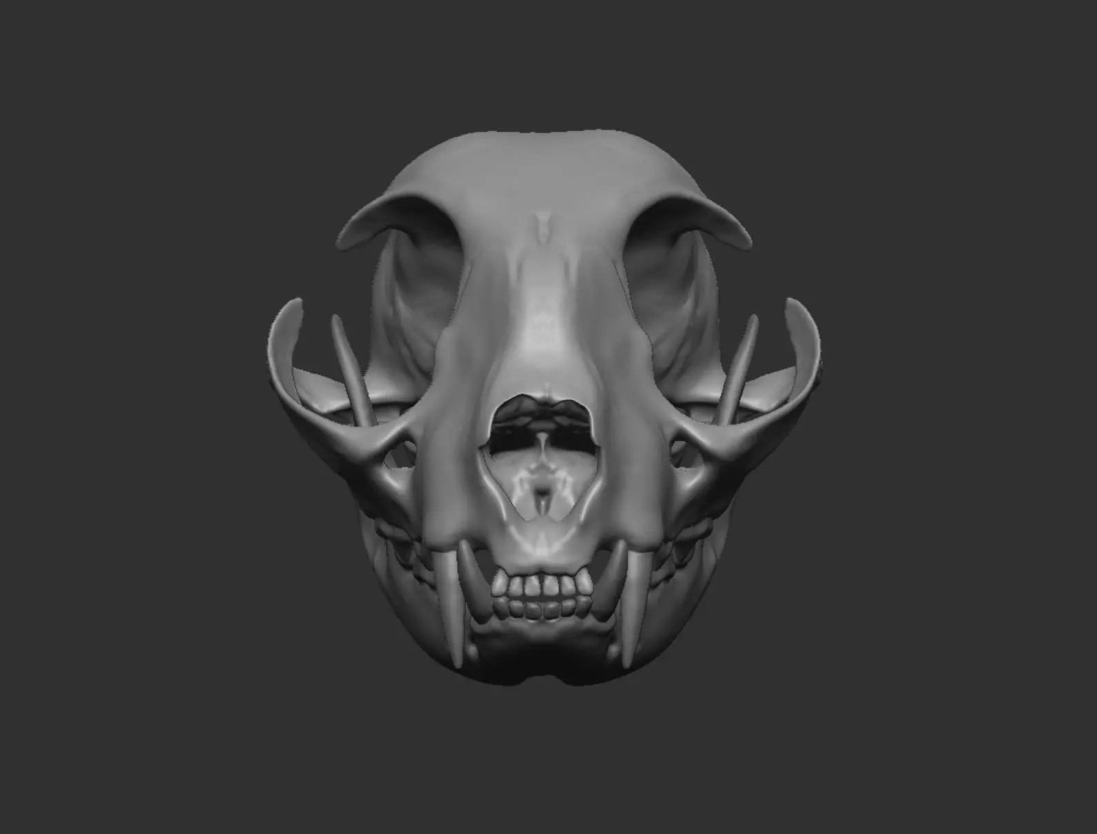 Skull Cat 3D model_0