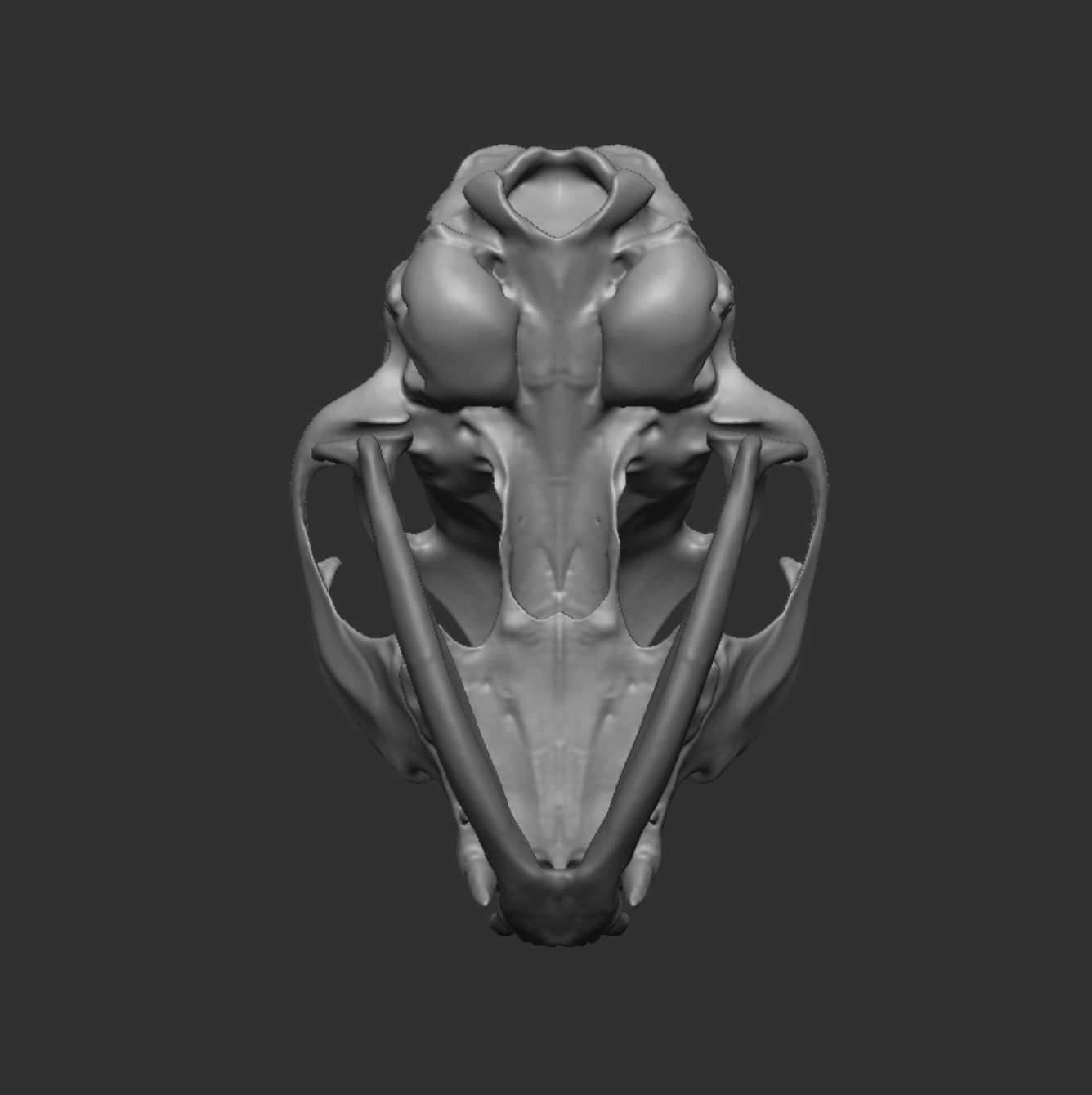 Skull Cat 3D model_21