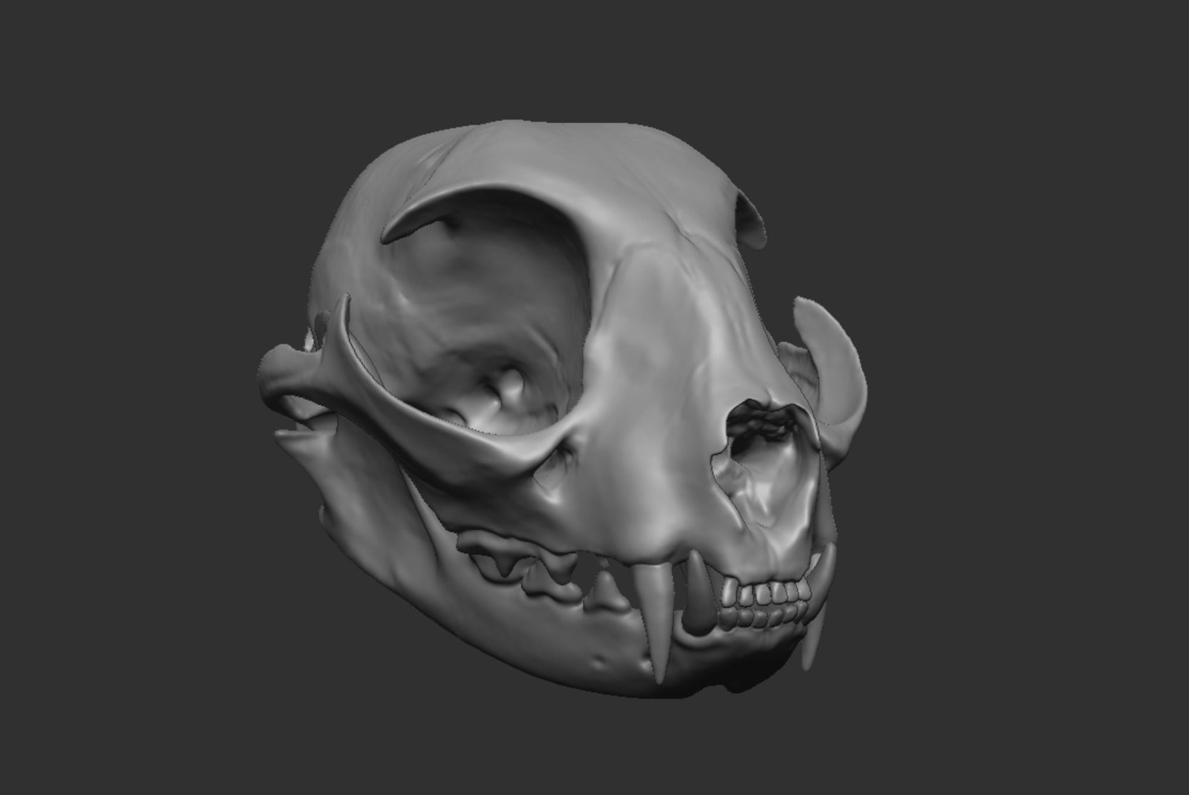 Skull Cat 3D model_31
