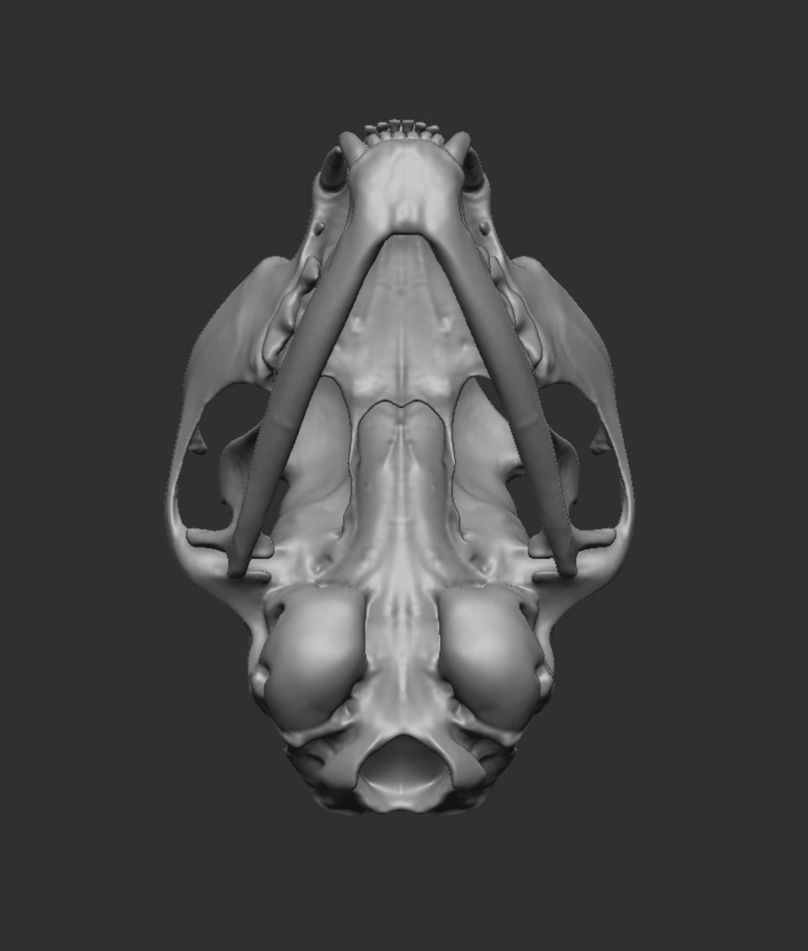 Skull Cat 3D model_35