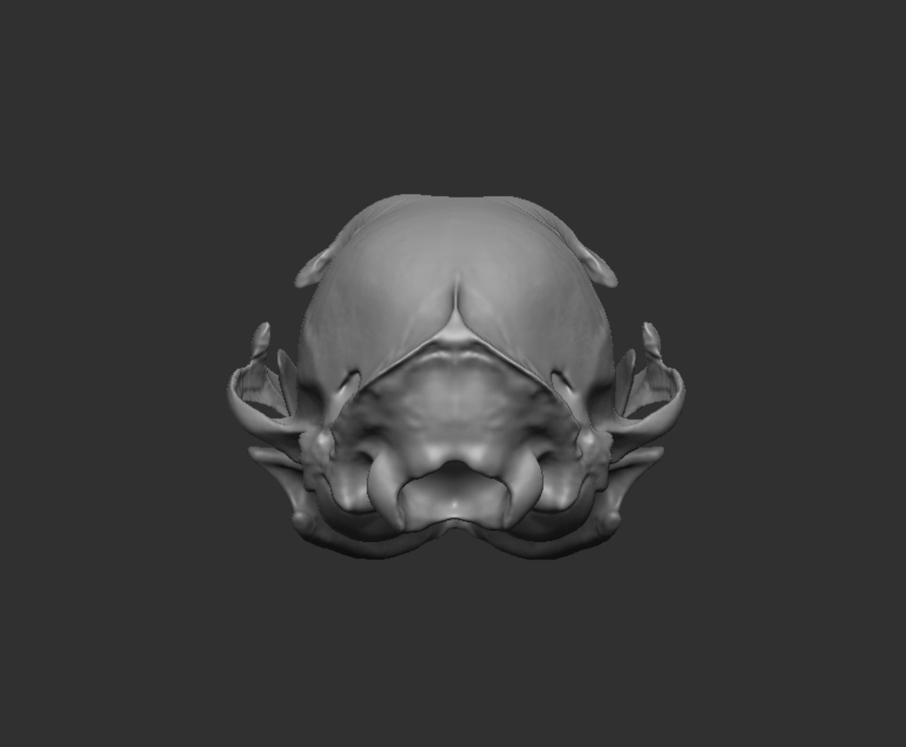 Skull Cat 3D model_16
