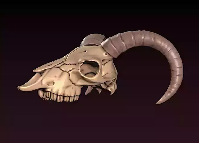 Goat Skull 3D print model