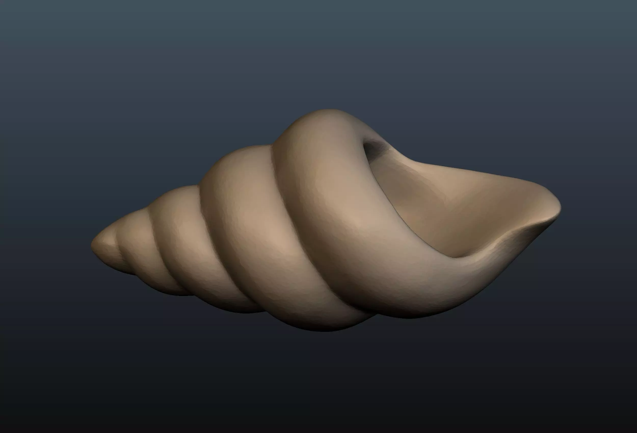 Seashell shell 3D print model
