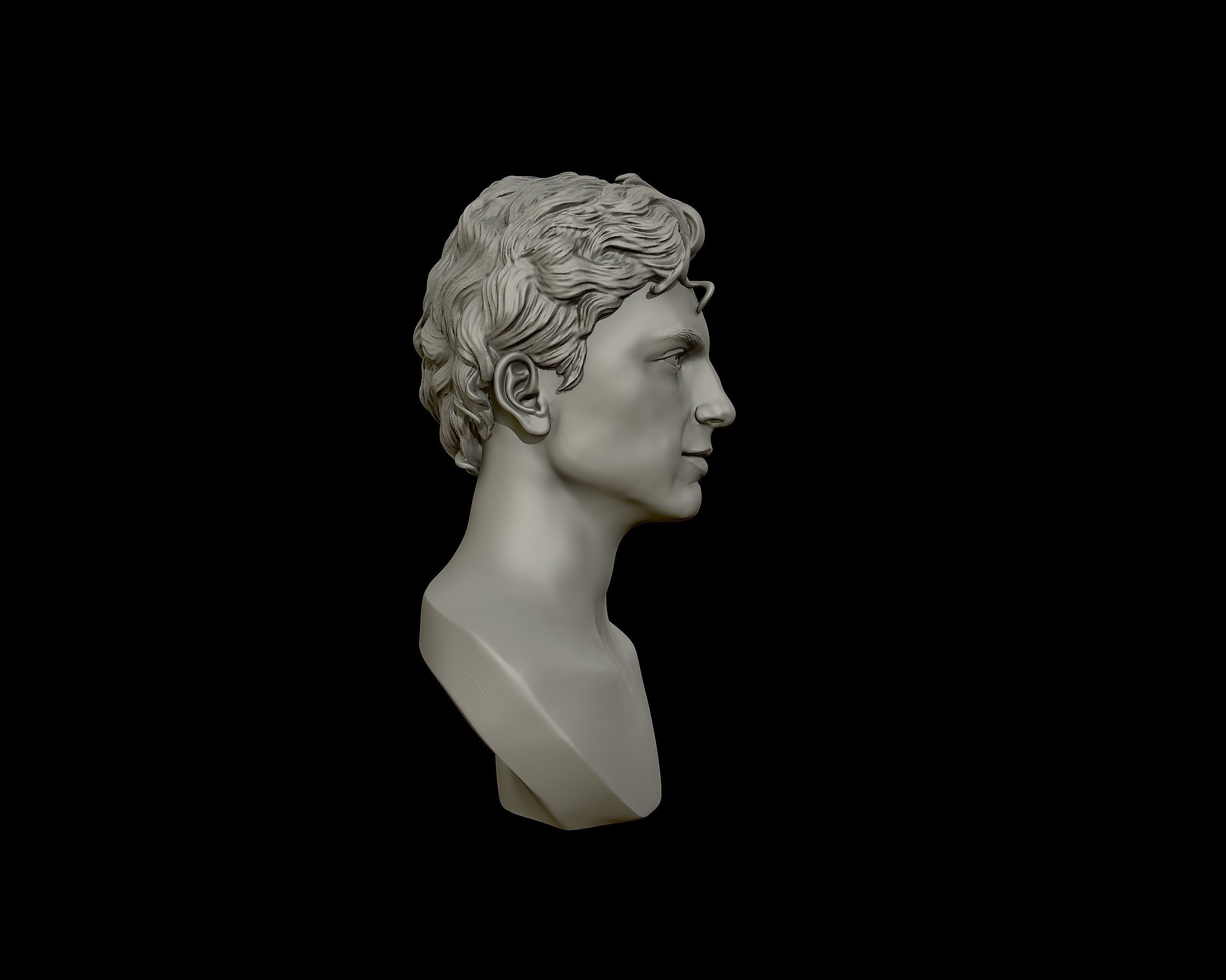 Timothee Chalamet bust sculpture 3D print model_24