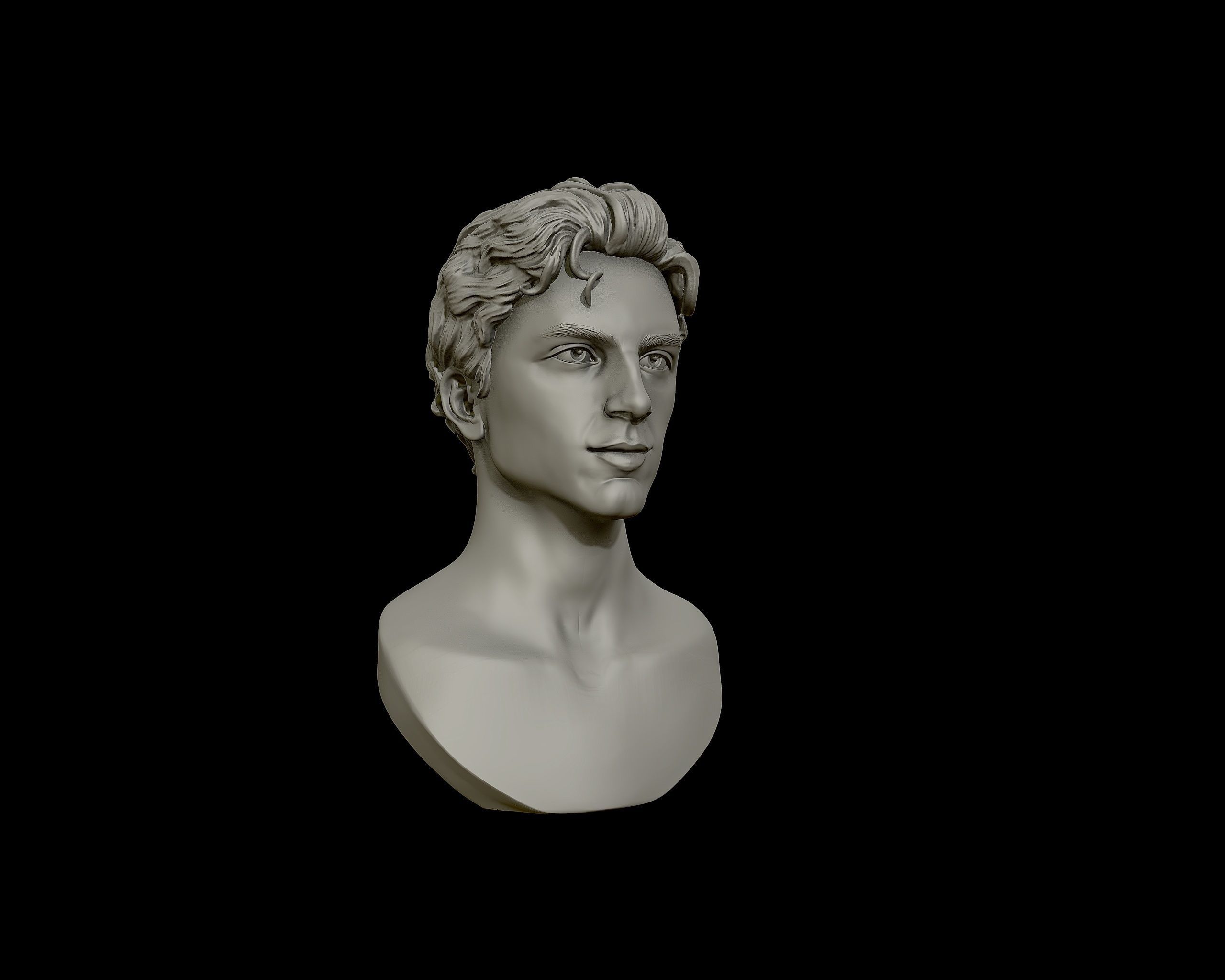 Timothee Chalamet bust sculpture 3D print model_25