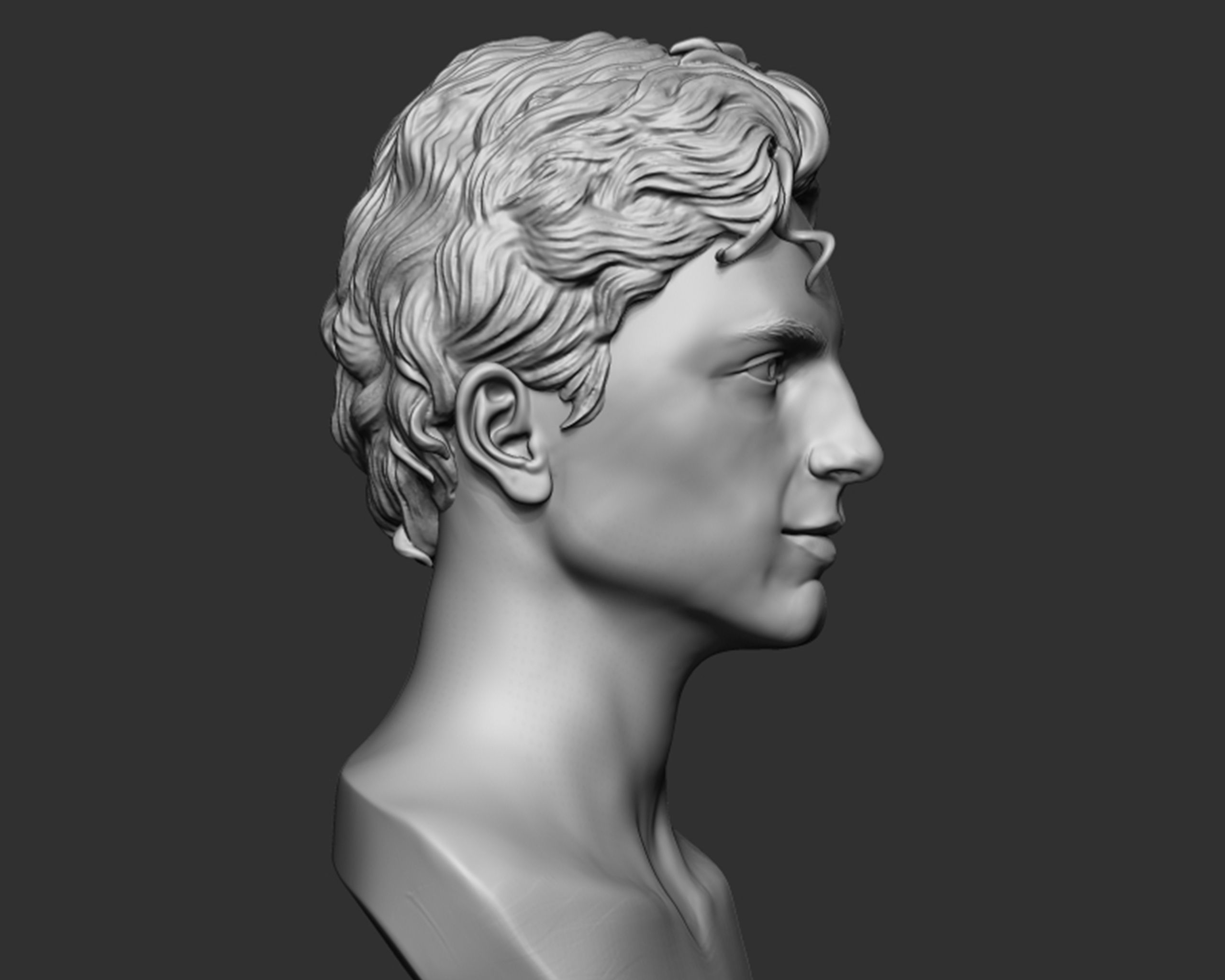 Timothee Chalamet bust sculpture 3D print model_5