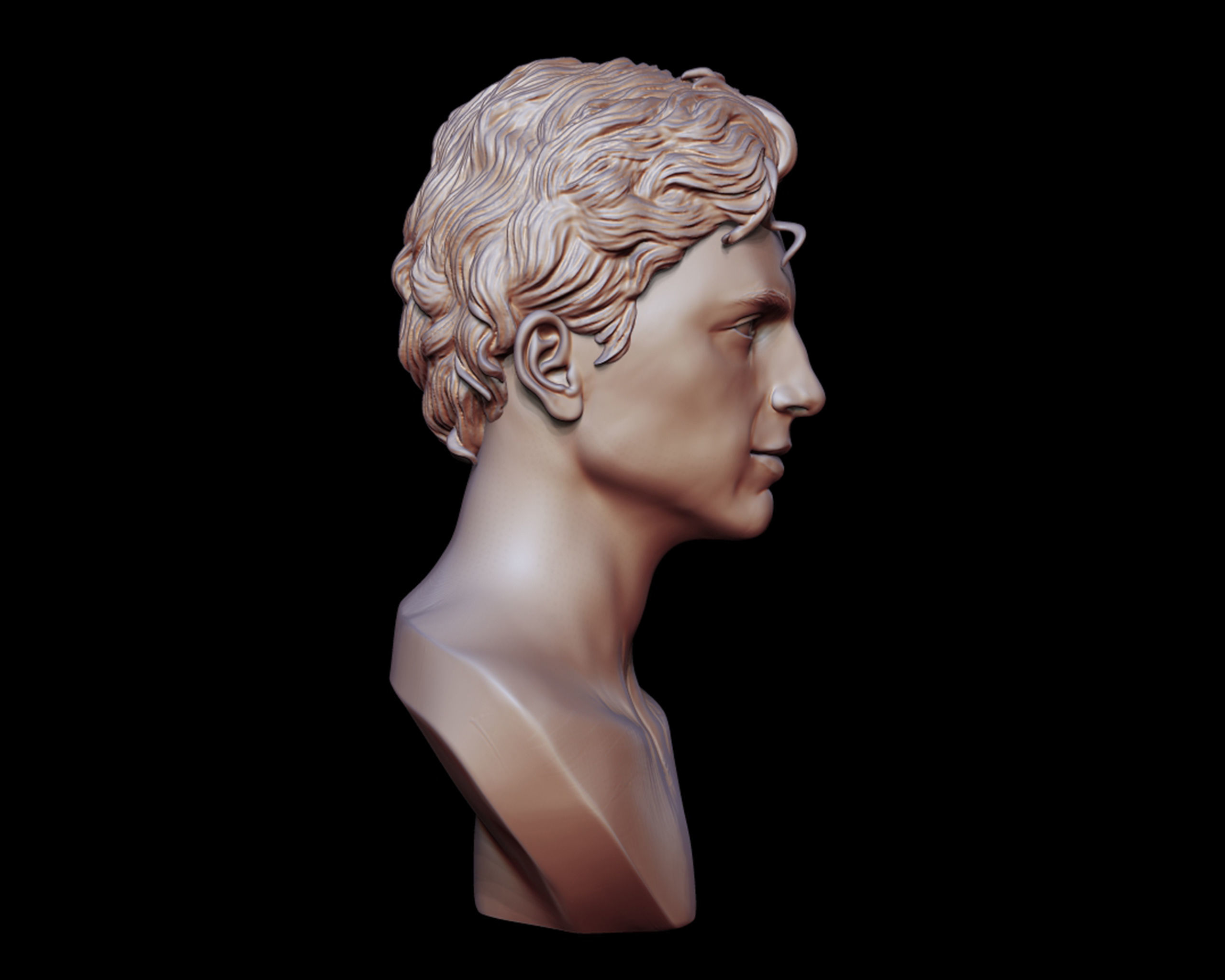 Timothee Chalamet bust sculpture 3D print model_11