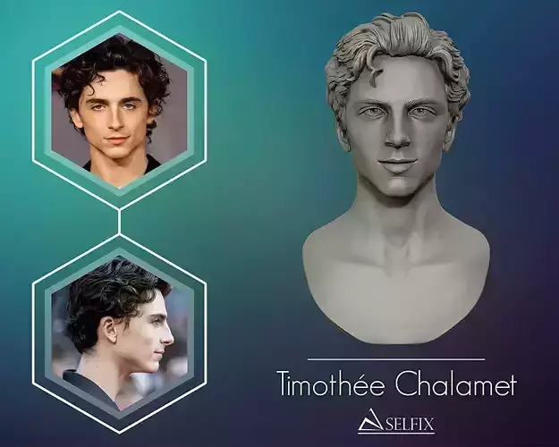 Timothee Chalamet bust sculpture 3D print model