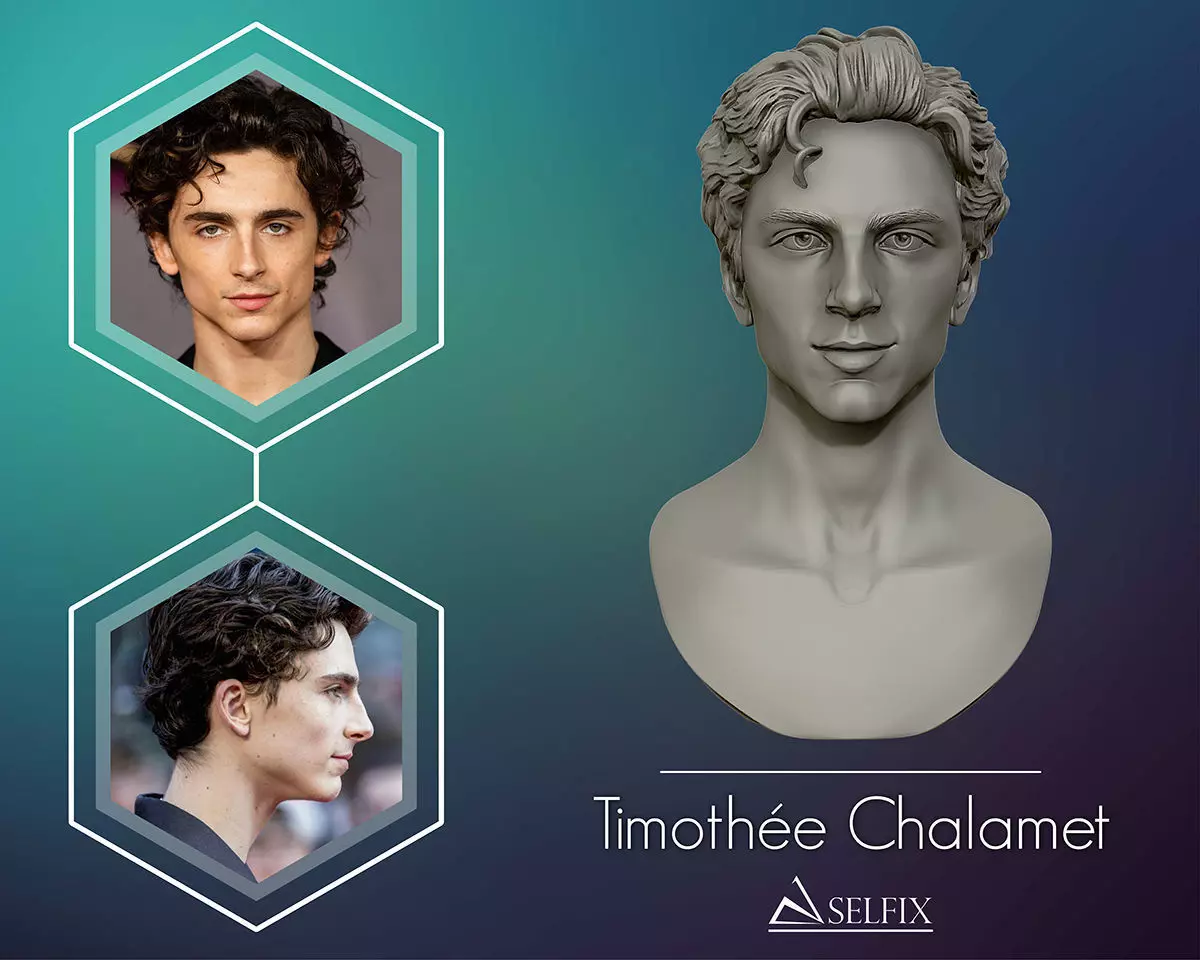 Timothee Chalamet bust sculpture 3D print model_0