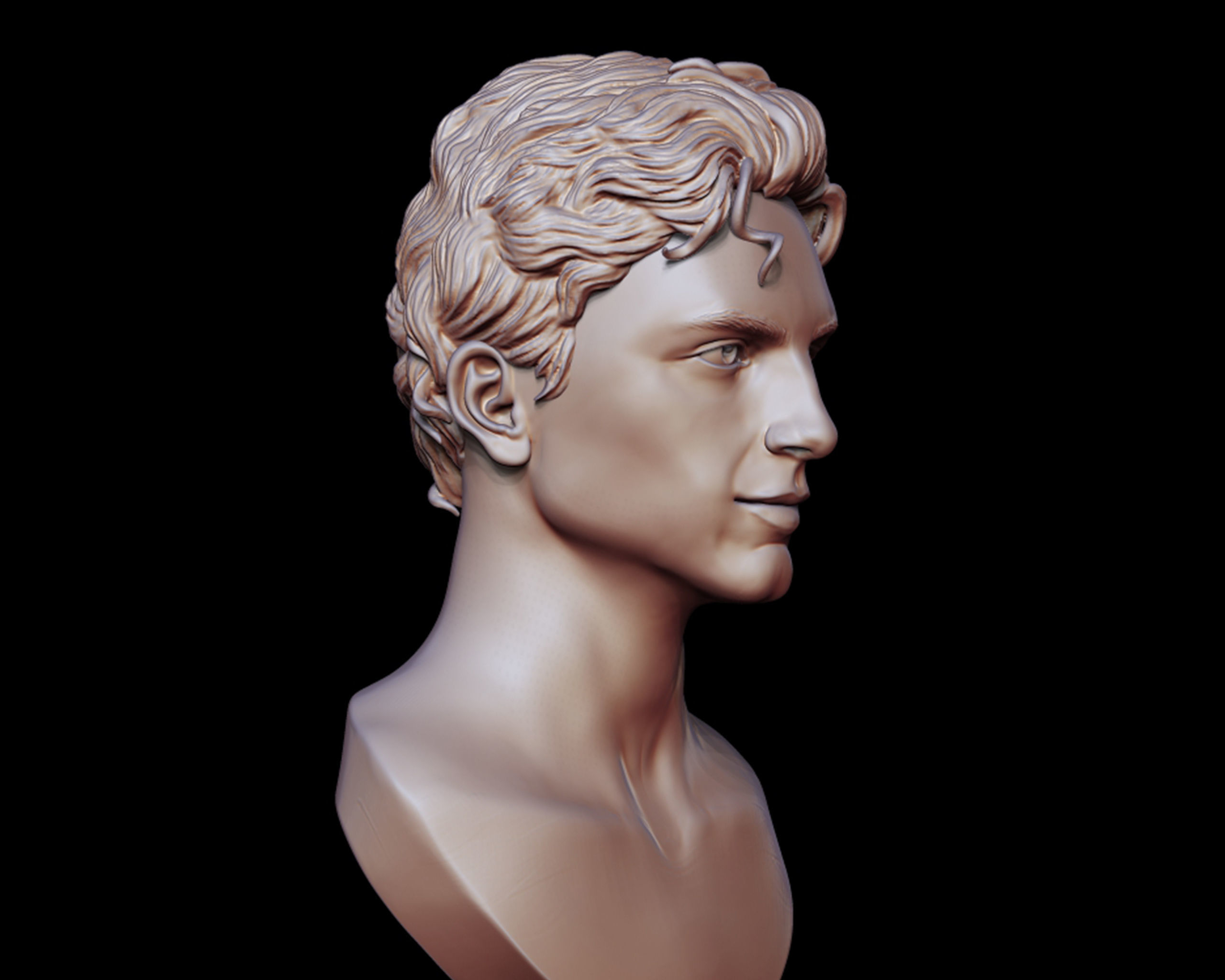 Timothee Chalamet bust sculpture 3D print model_10