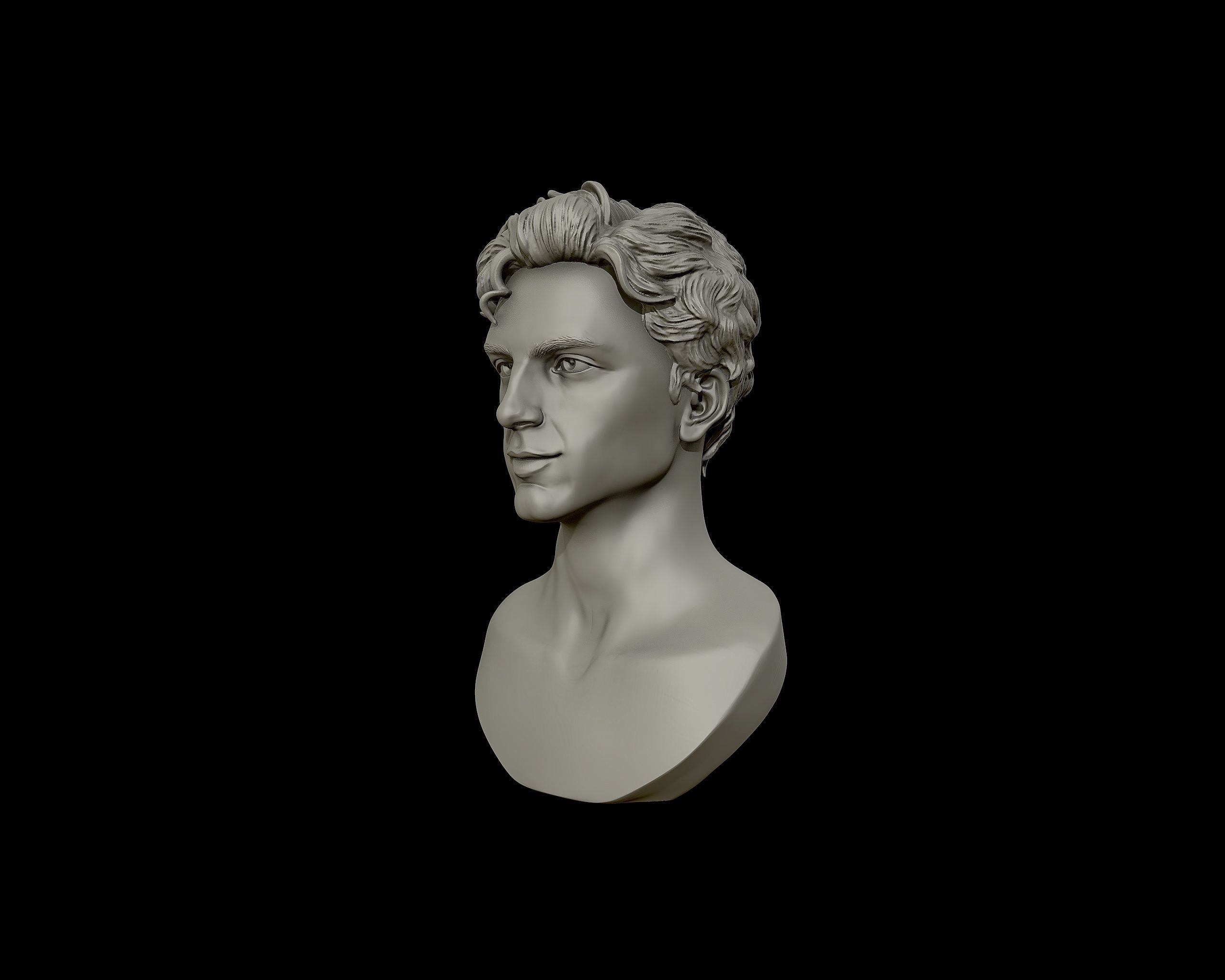 Timothee Chalamet bust sculpture 3D print model_20