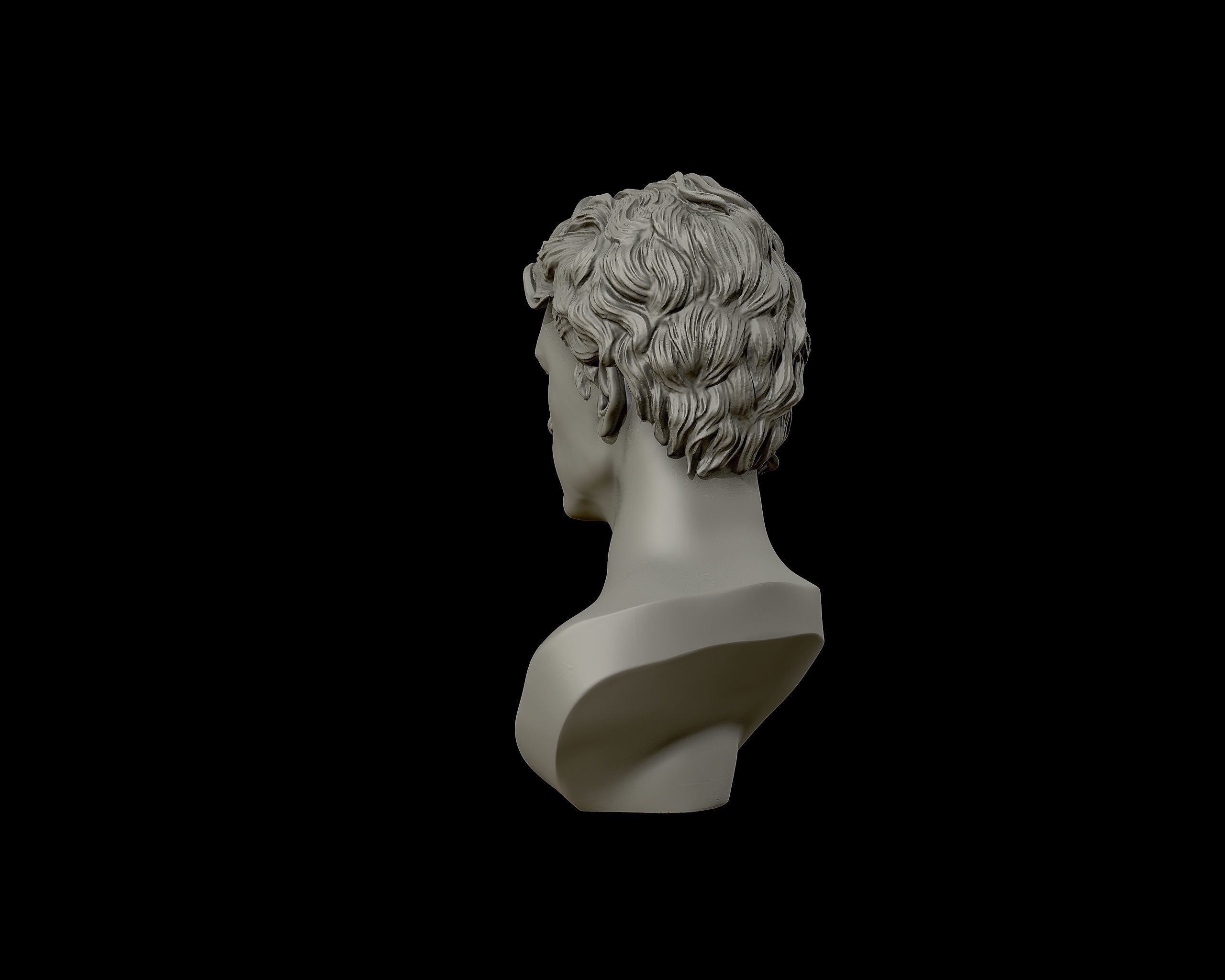 Timothee Chalamet bust sculpture 3D print model_23